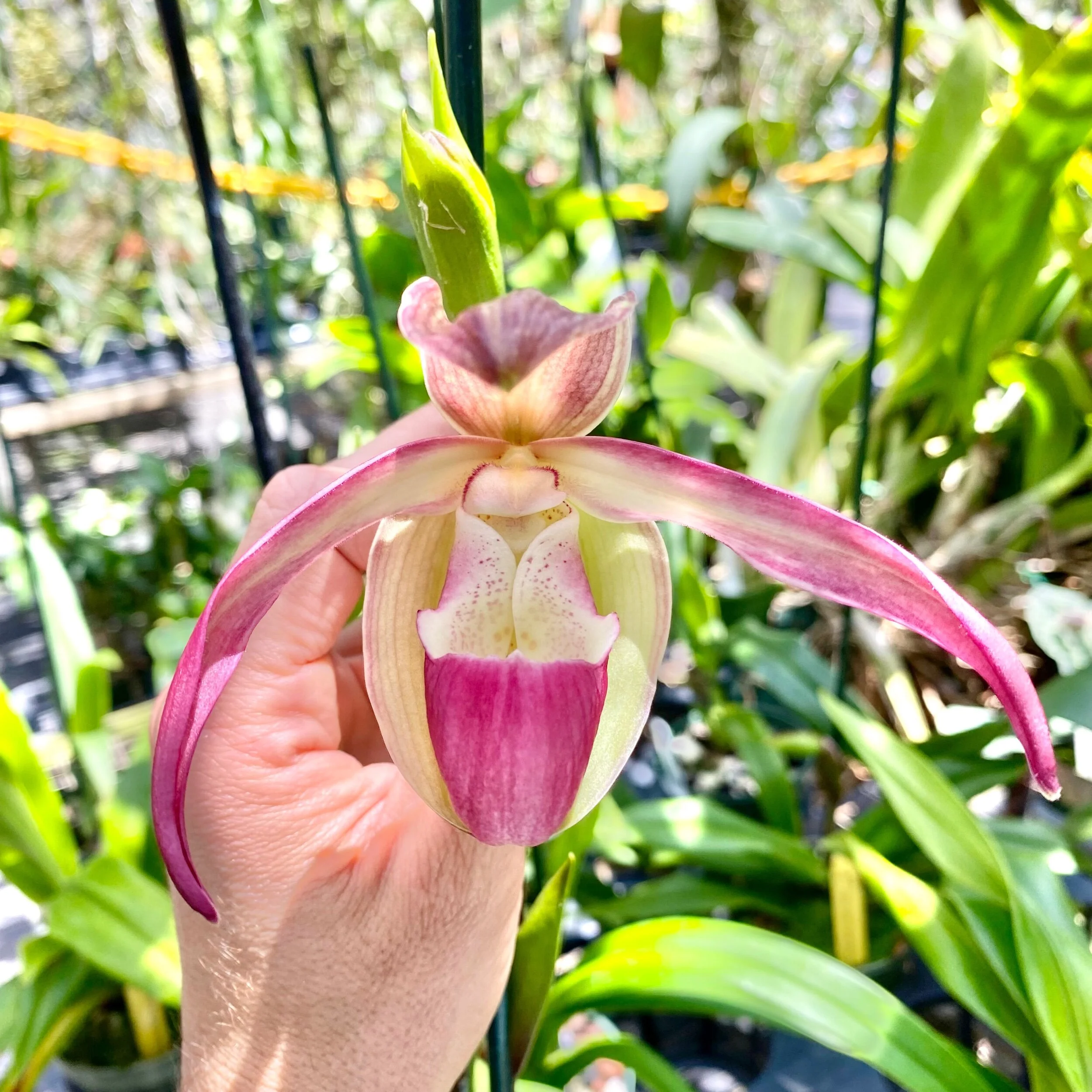 2F5C57E2-FA15-484B-AD8B-3434034C3757