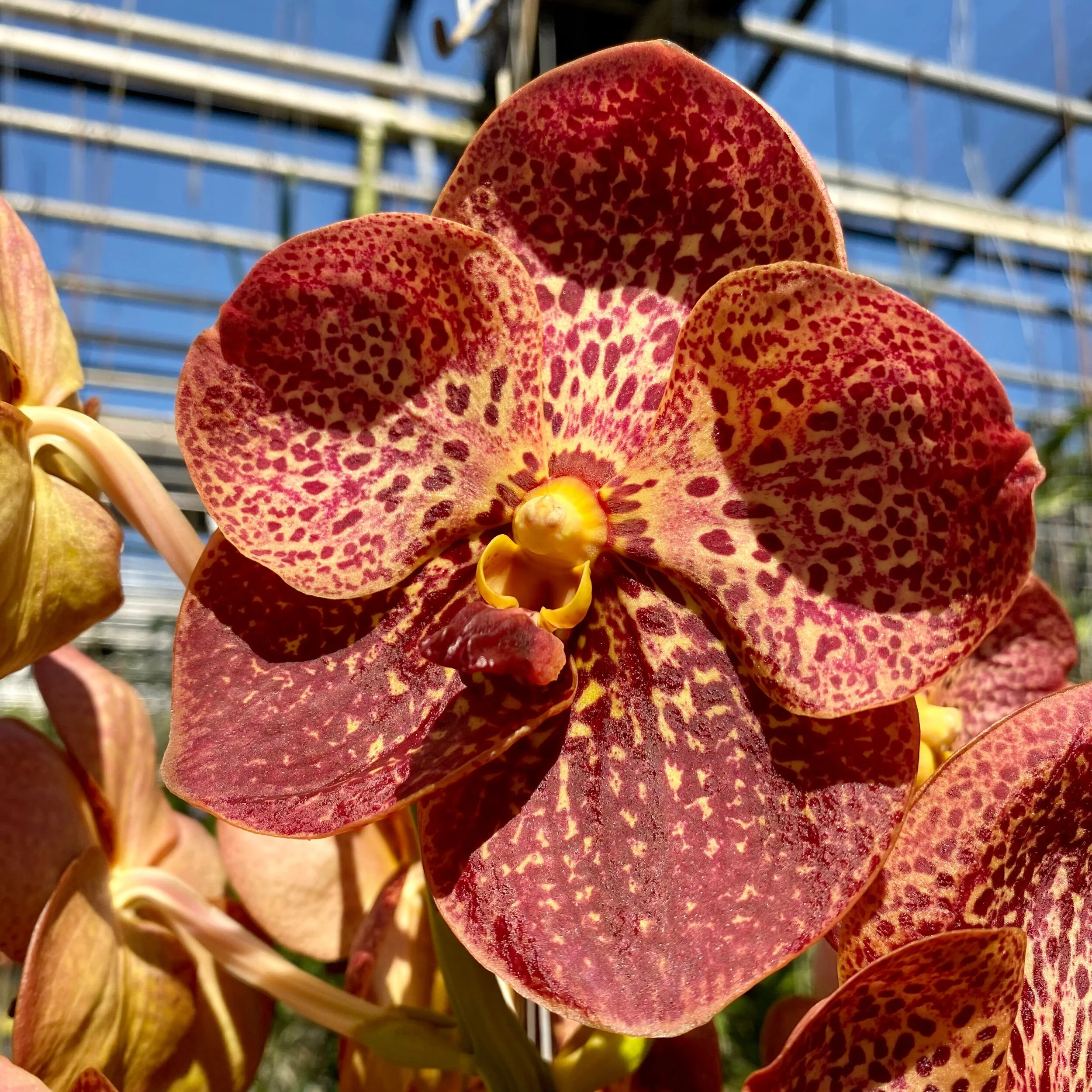 3F646BD5-8A1F-4921-AD6C-1FCFFB3F1C00