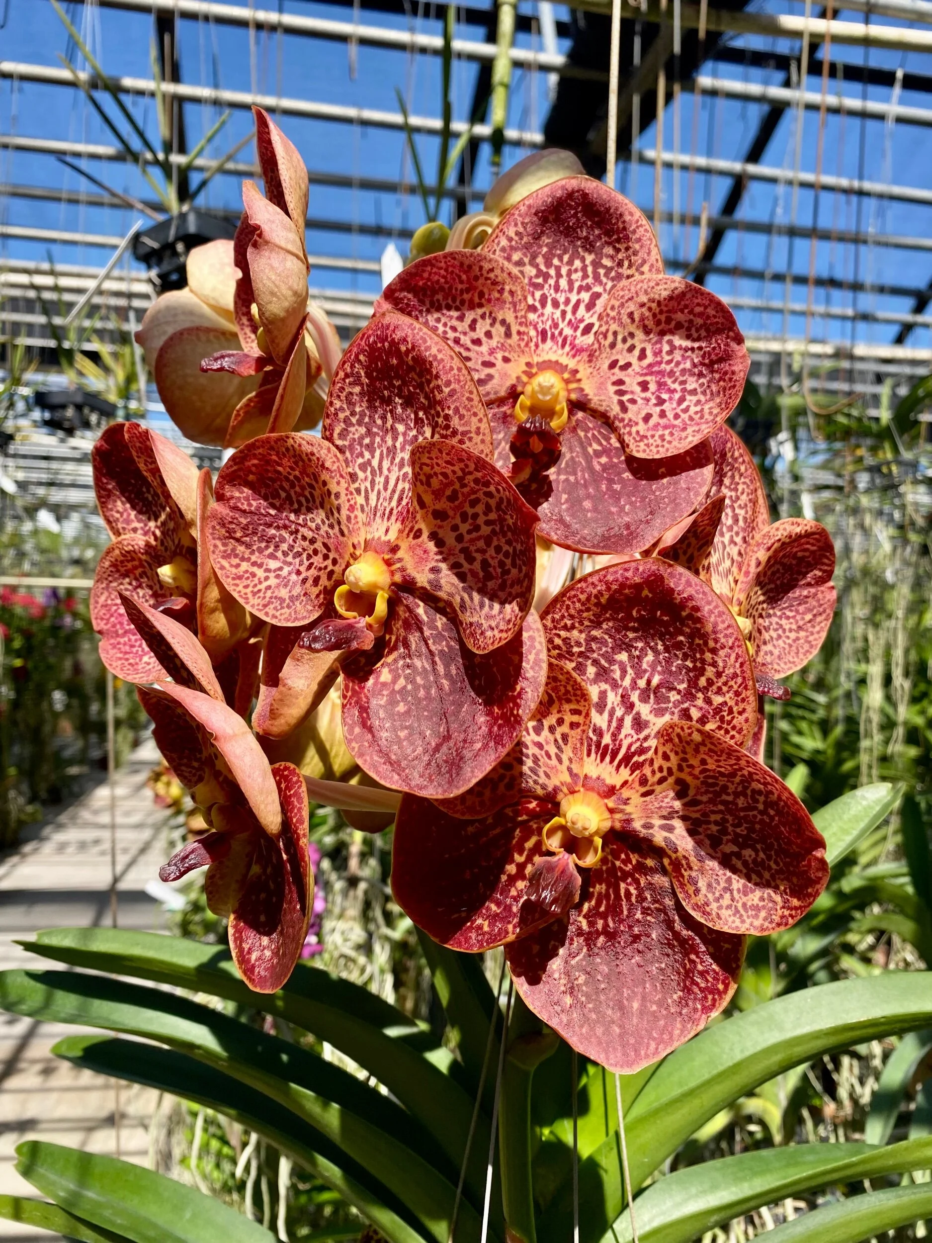 6CB88673-8116-4969-98A8-D0F14E226A05