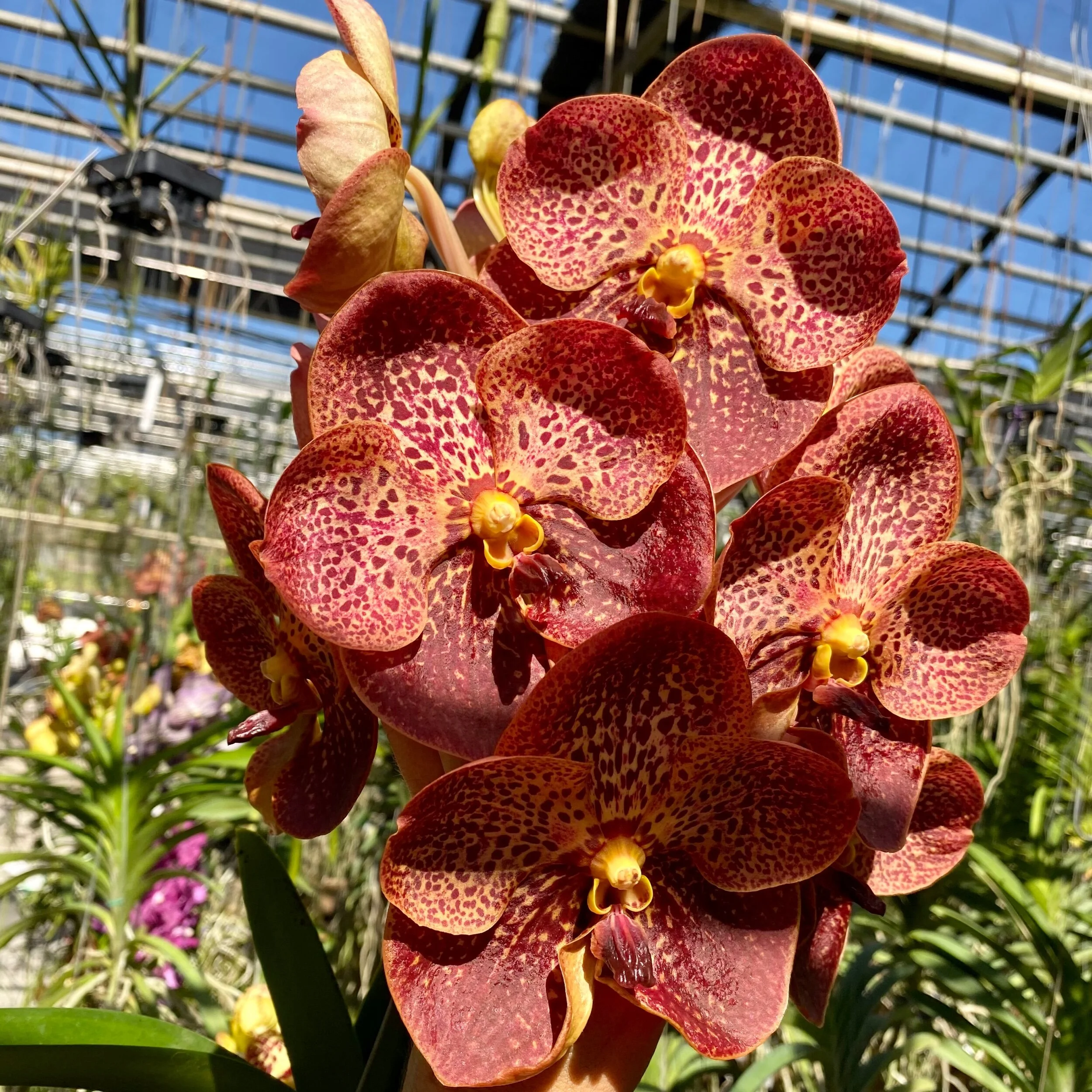 E253C72E-4A8F-484A-A9BE-071BD5CEB6F0