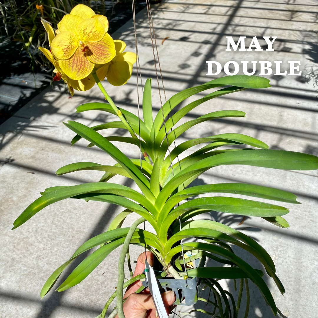 82A46FDD-6064-47B9-BEF1-E11CE3115E7B