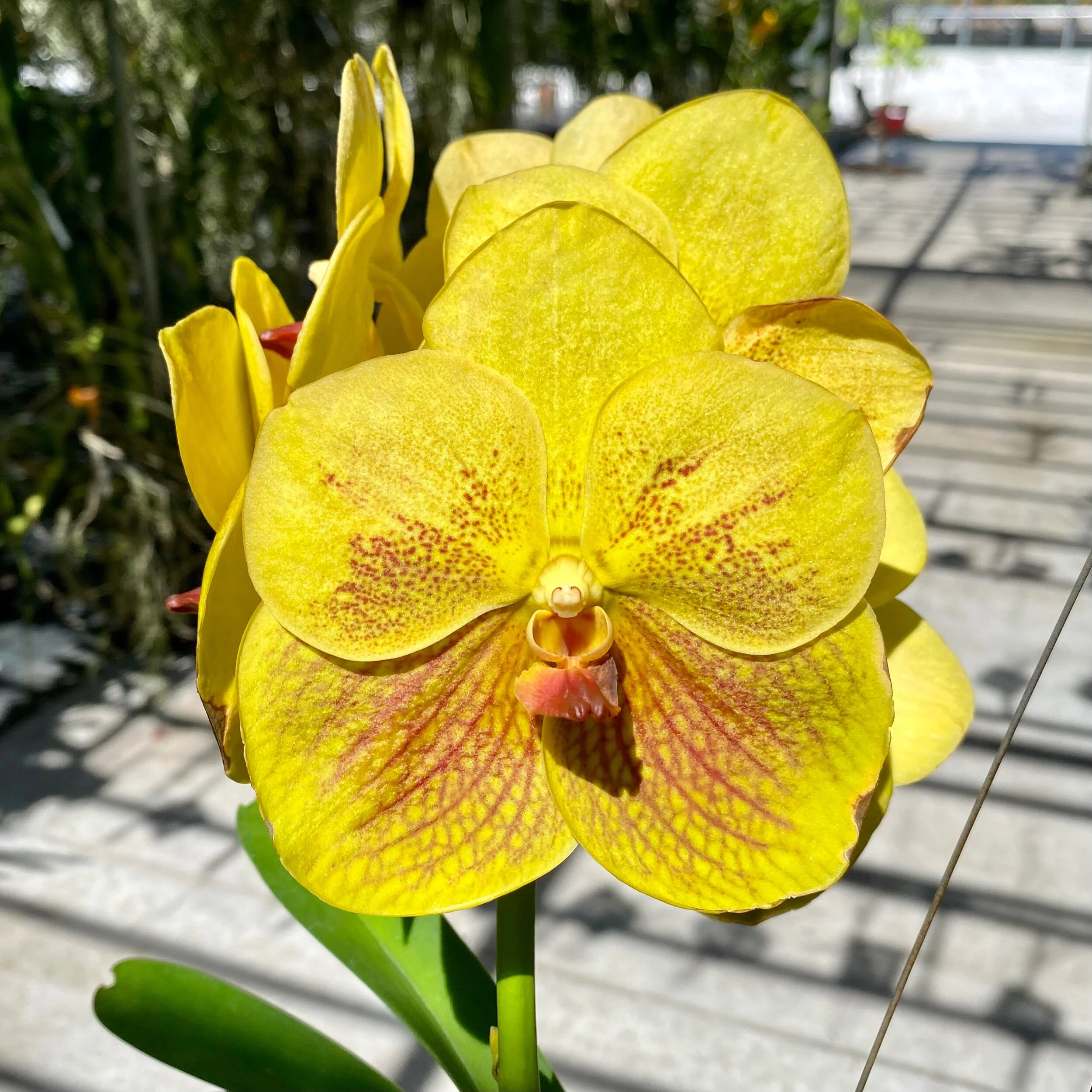 E65978C5-1118-4E85-BA08-4A6B72CFBB95