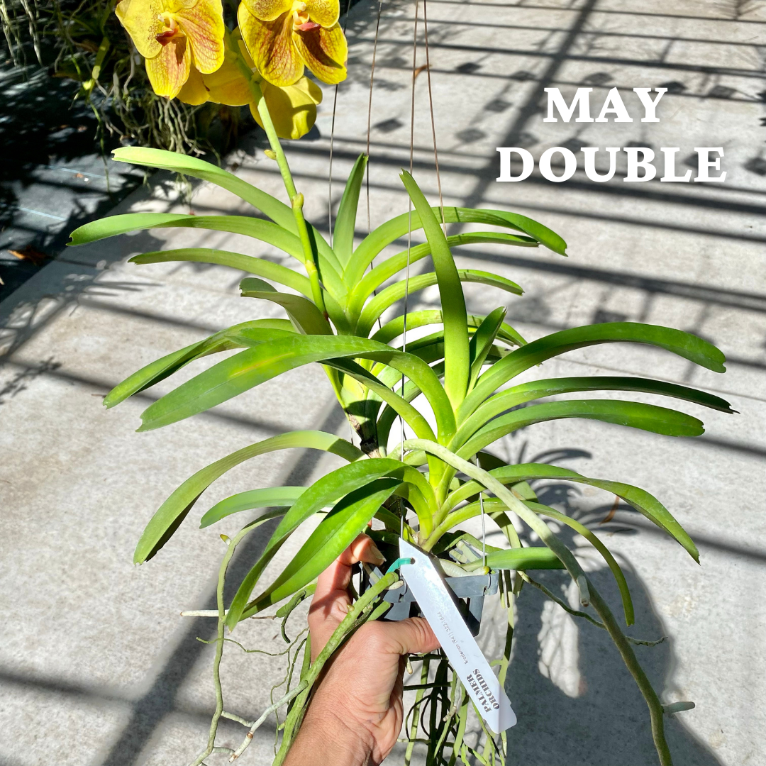 B79742E5-093F-4152-ACE8-C77A154E7AC0