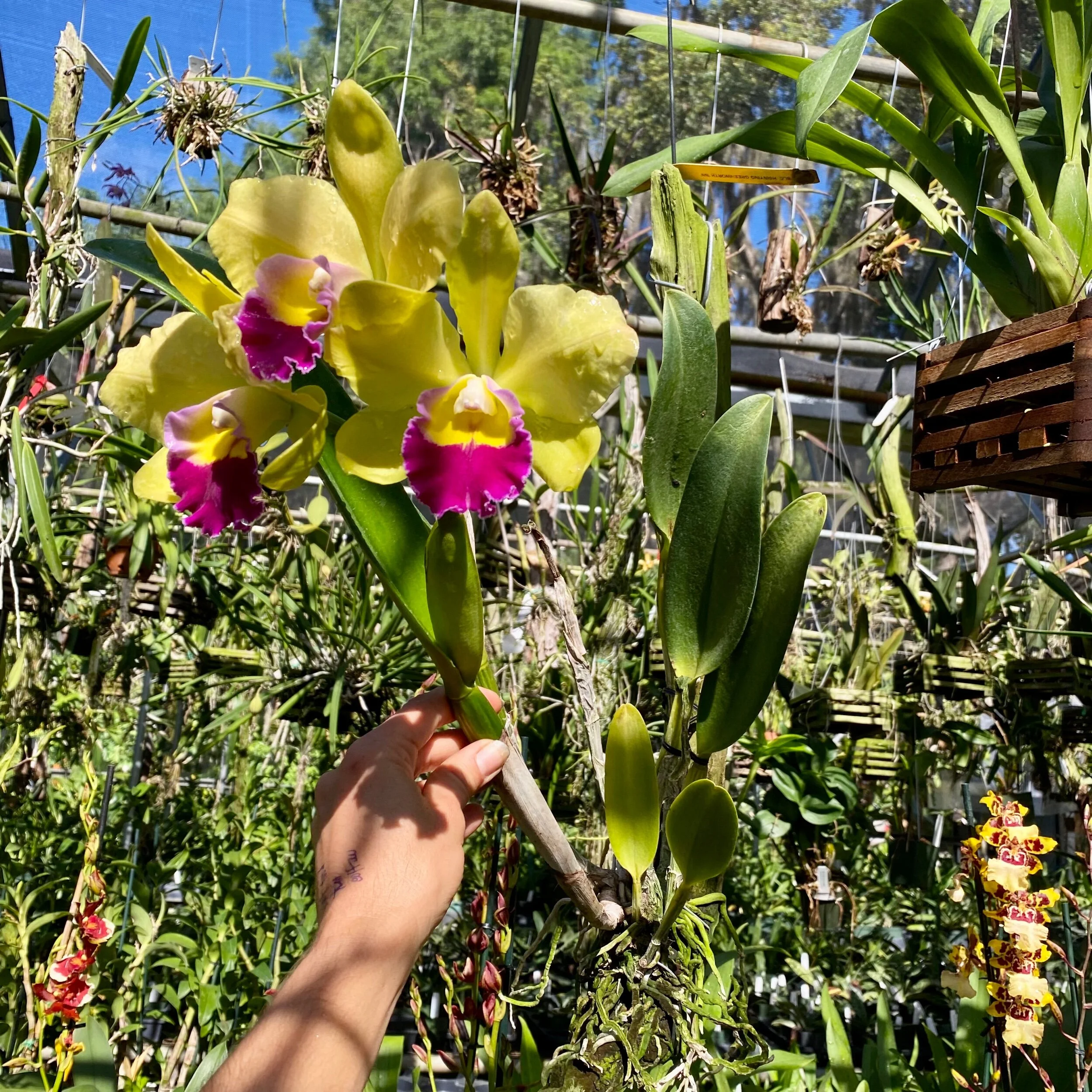 4A58DD55-F05F-4302-9229-B0509DF138DE