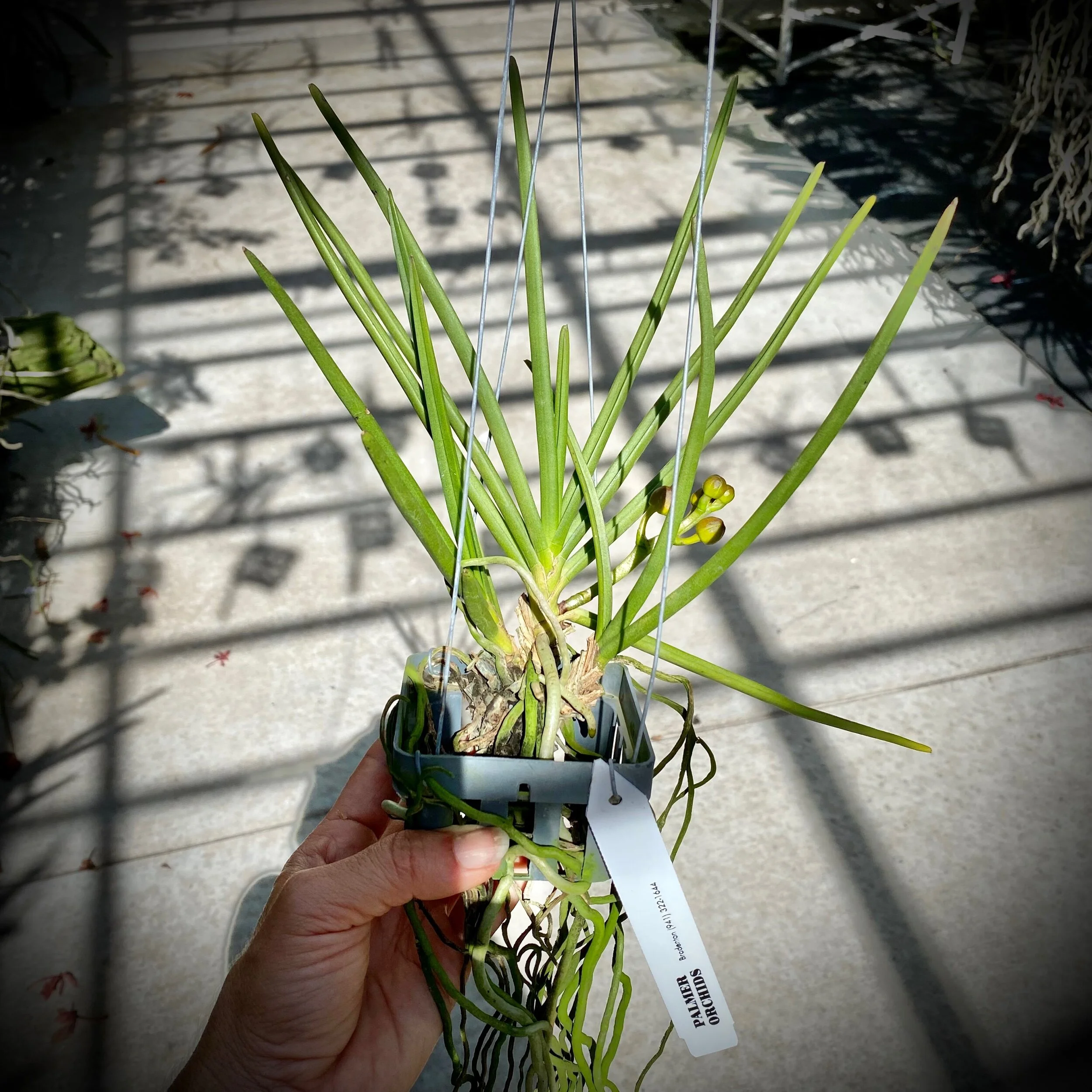 7BFA174E-4002-47B7-9BF5-1EA07B103A3F