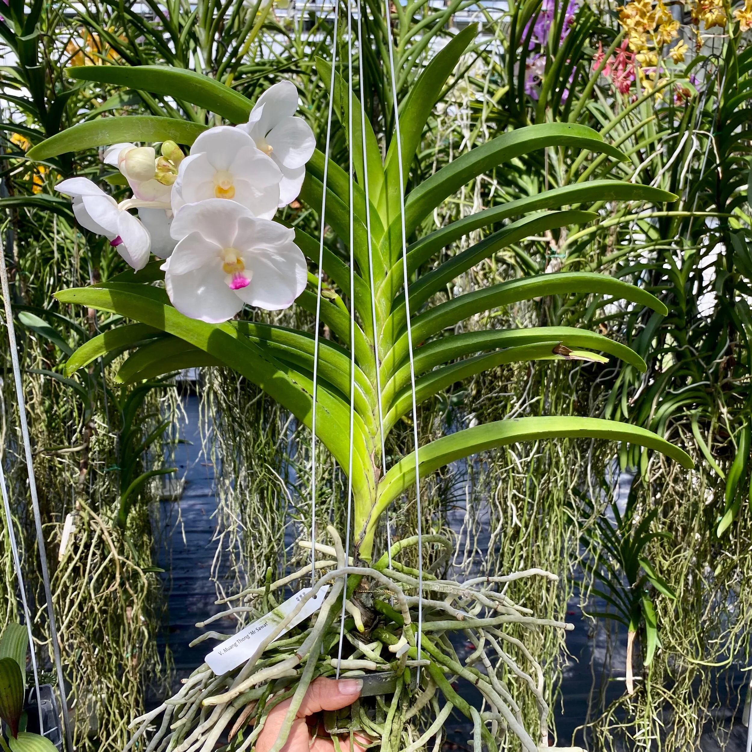 4C7C5456-4C83-4046-B505-6B44E8348A6C