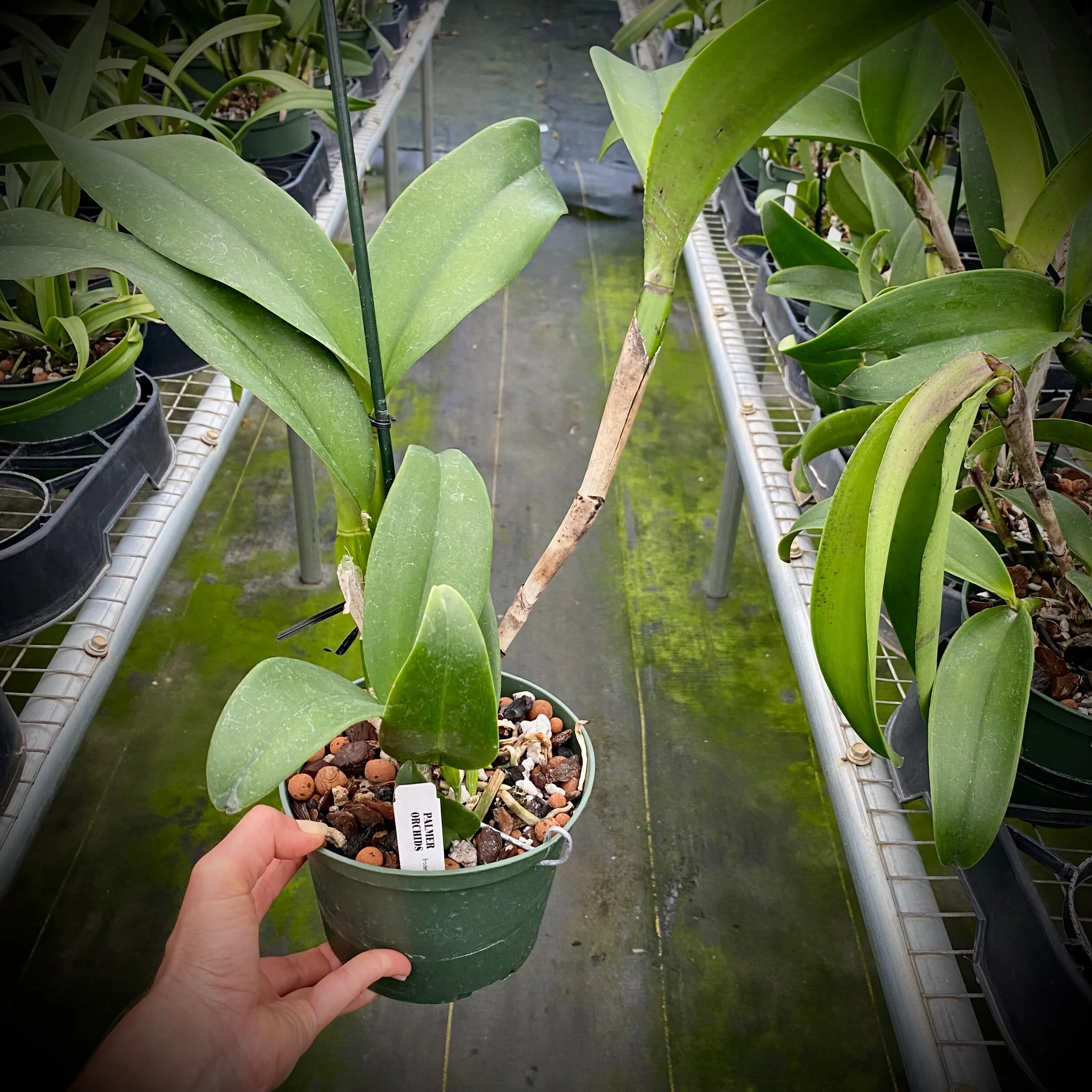 54EEC4B5-08EF-40E4-92ED-0A00397323EC