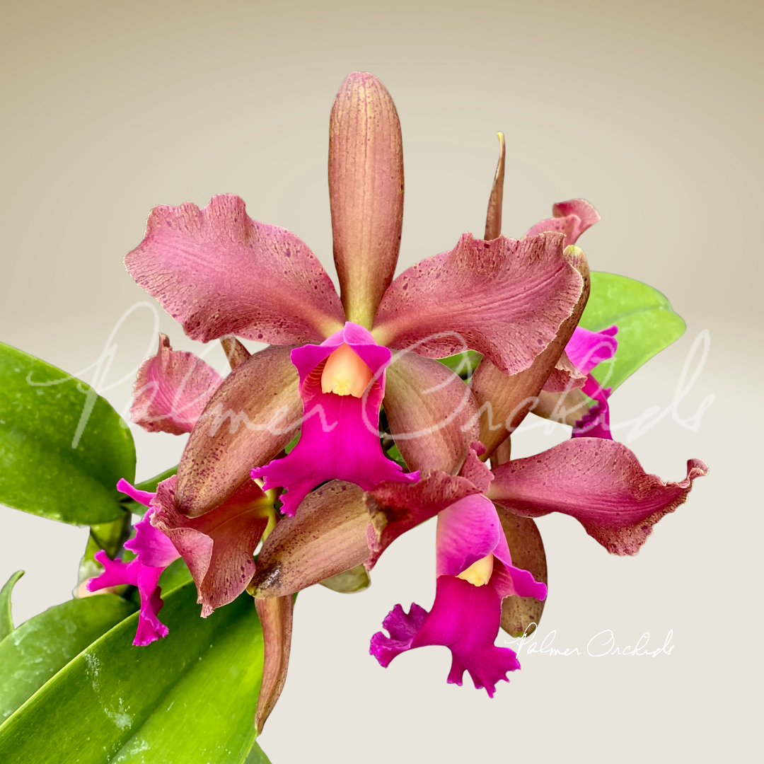 1F096D3C-A500-48C0-9D11-7298D499F1E8