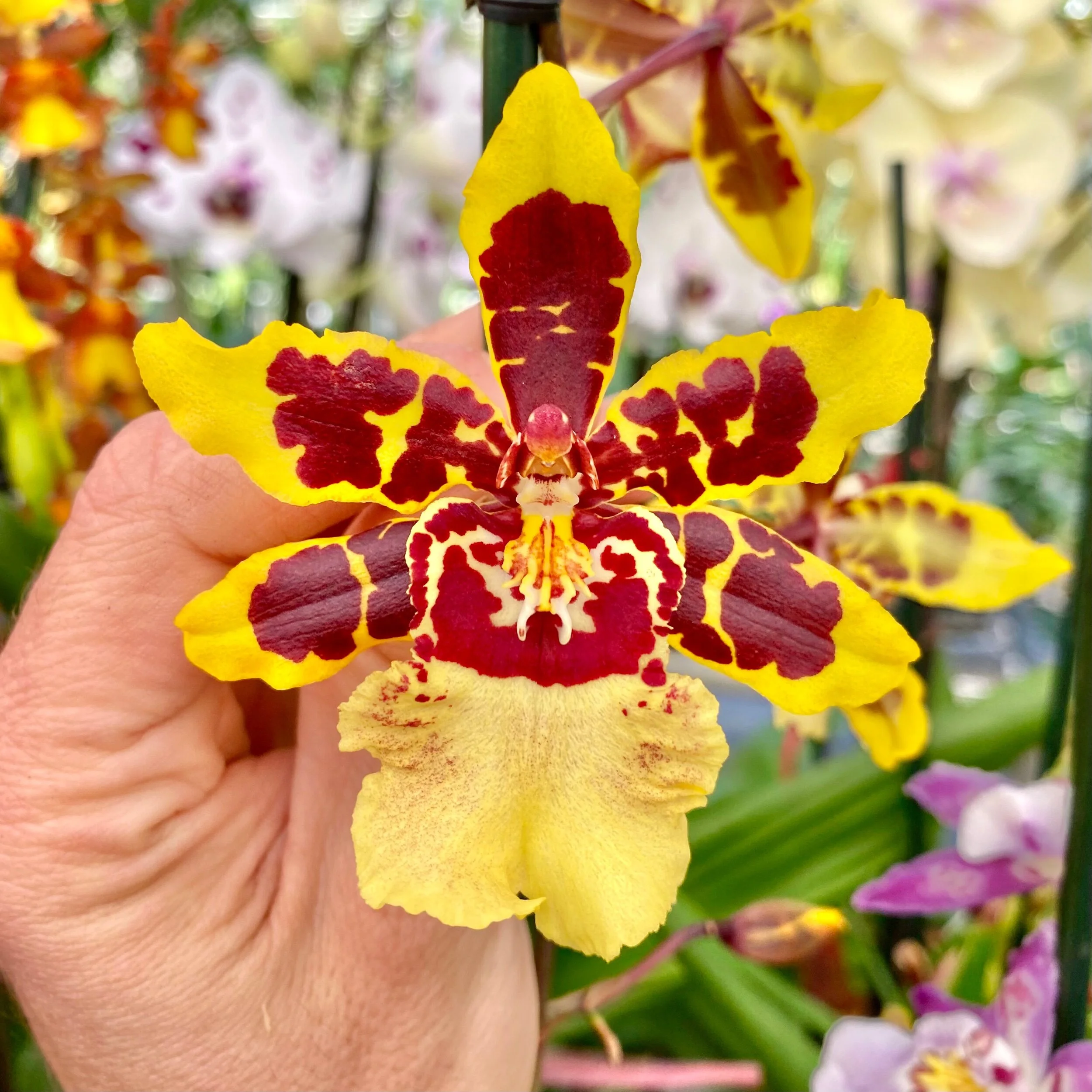 00ECF364-987C-4C17-99AE-24D0BFF5D15B