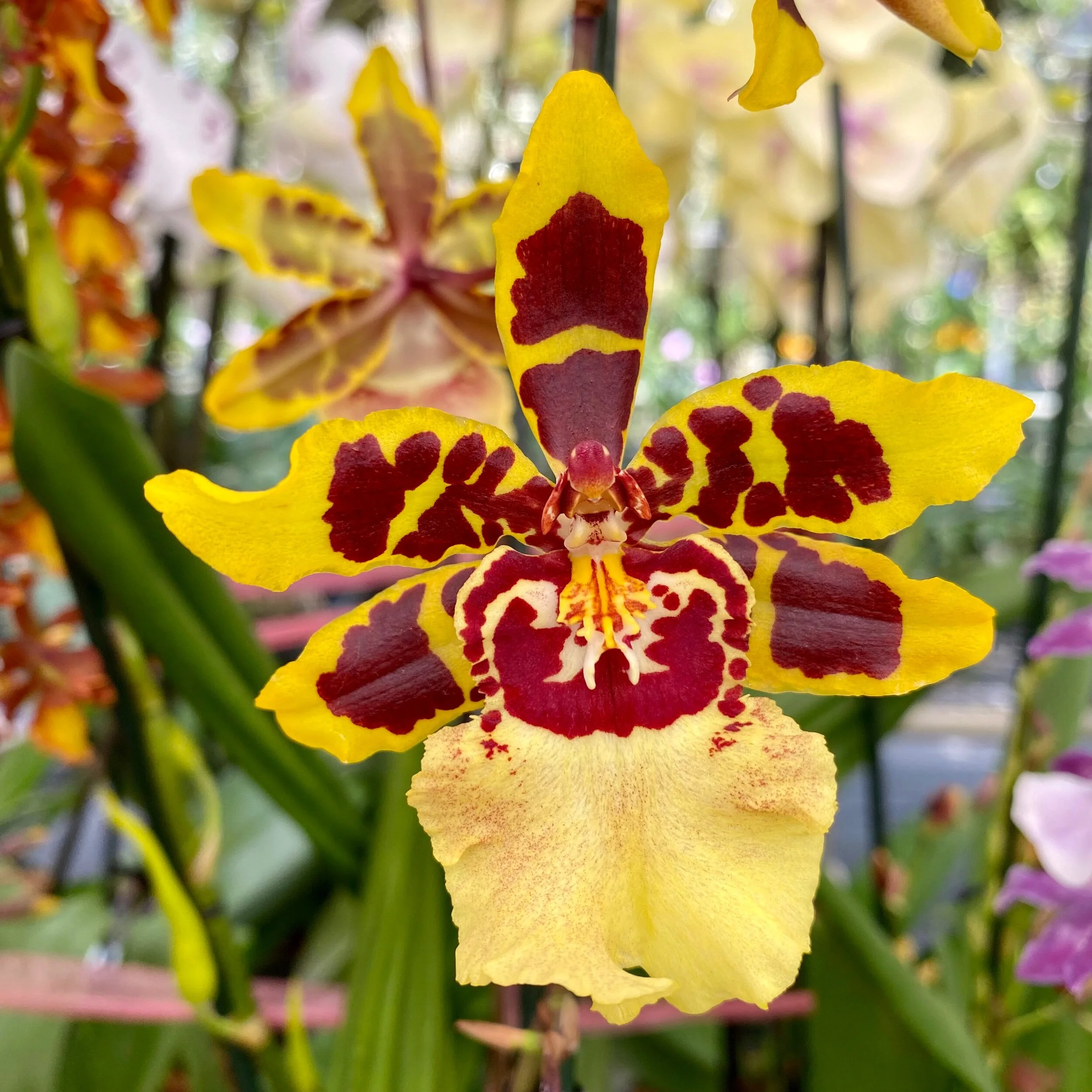 08DAC1DF-CAF5-40AA-9888-9B1447256770