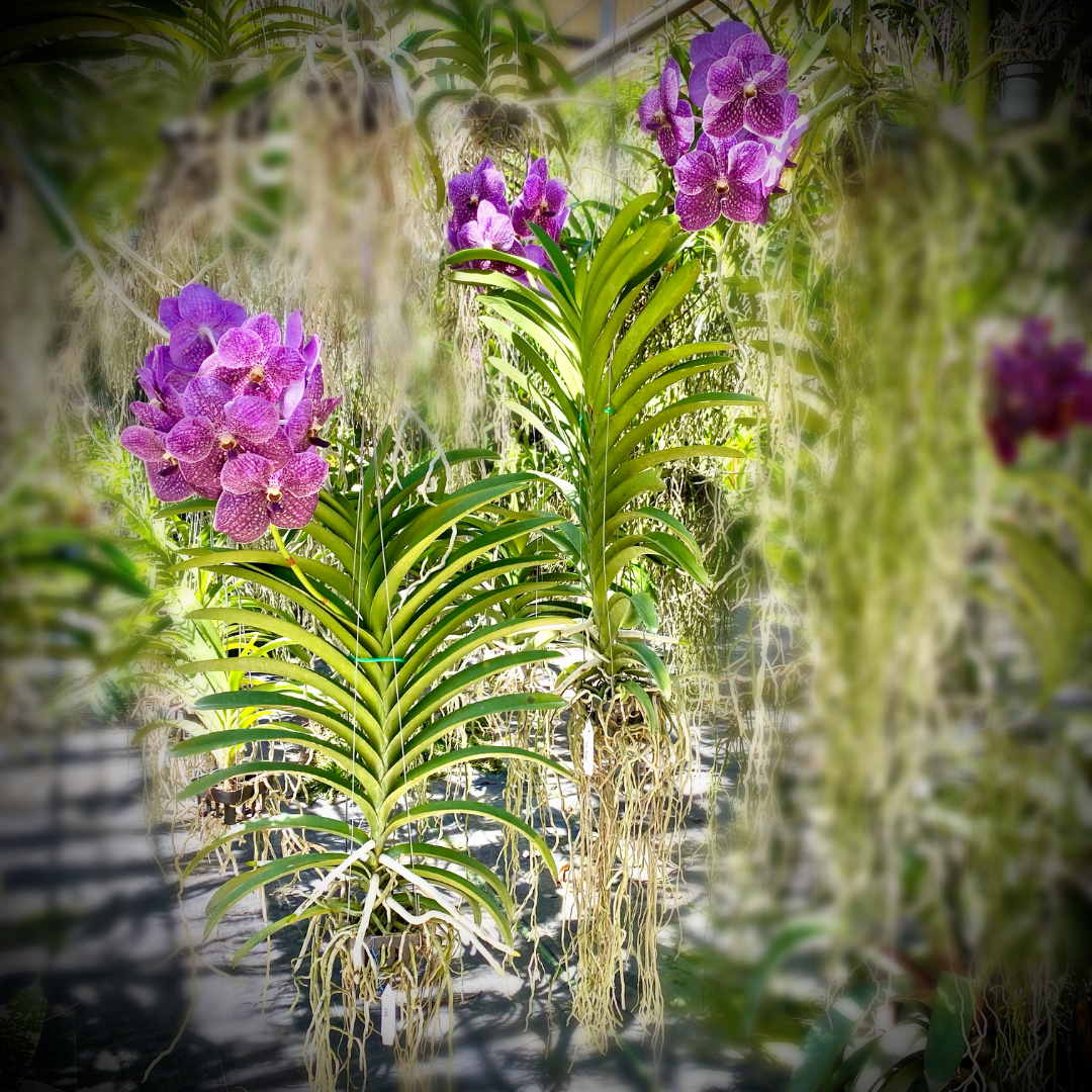 5890D977-06F3-40E8-9885-20AD6F2FC1D5