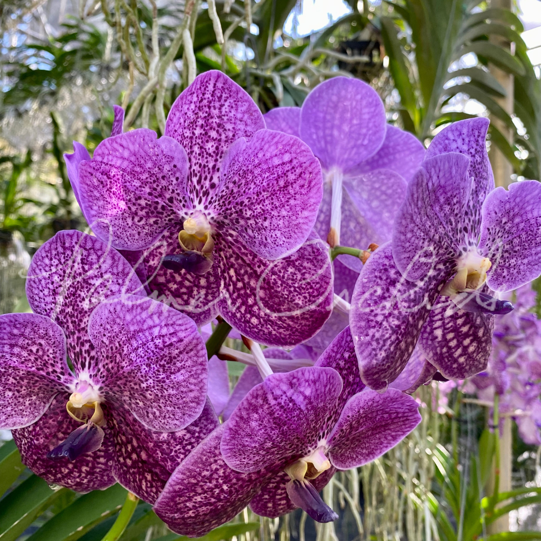 C5910B73-3AD7-466E-93FA-6B95B9D4E361