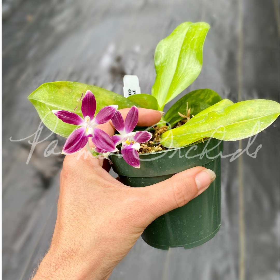 CE56F264-9378-46C6-AE6C-9FF5FD4F5504