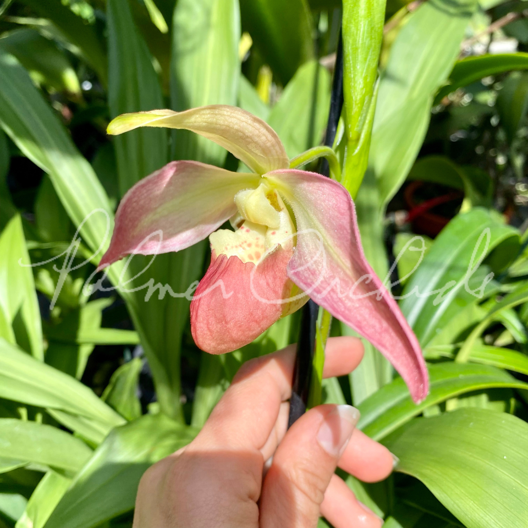 2FF23DEB-59B4-4AB5-8058-F7C4CB67FDBB