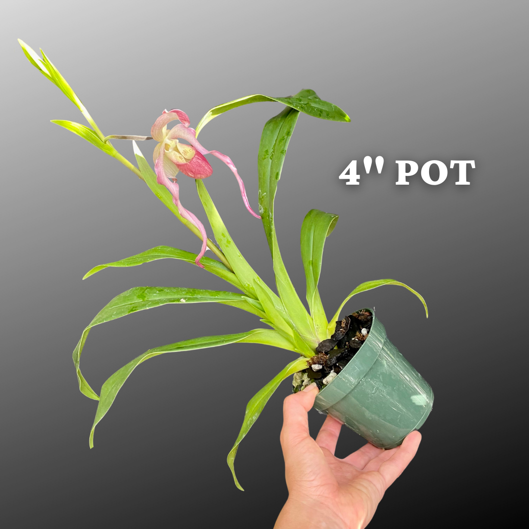 AADCEC2D-EF7B-40B1-B149-7143EBE7DD80