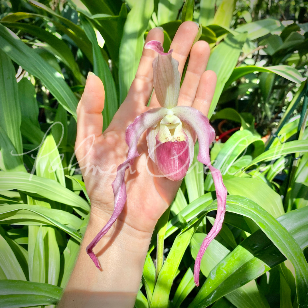 8D030DD2-7369-4162-8C65-3534F93239B6