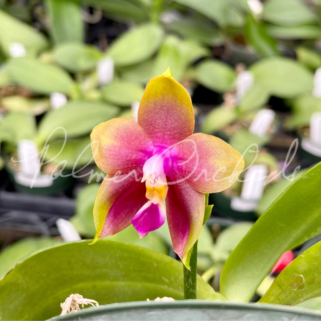 404B58F1-4F09-4496-BDAF-068D5286E8EA