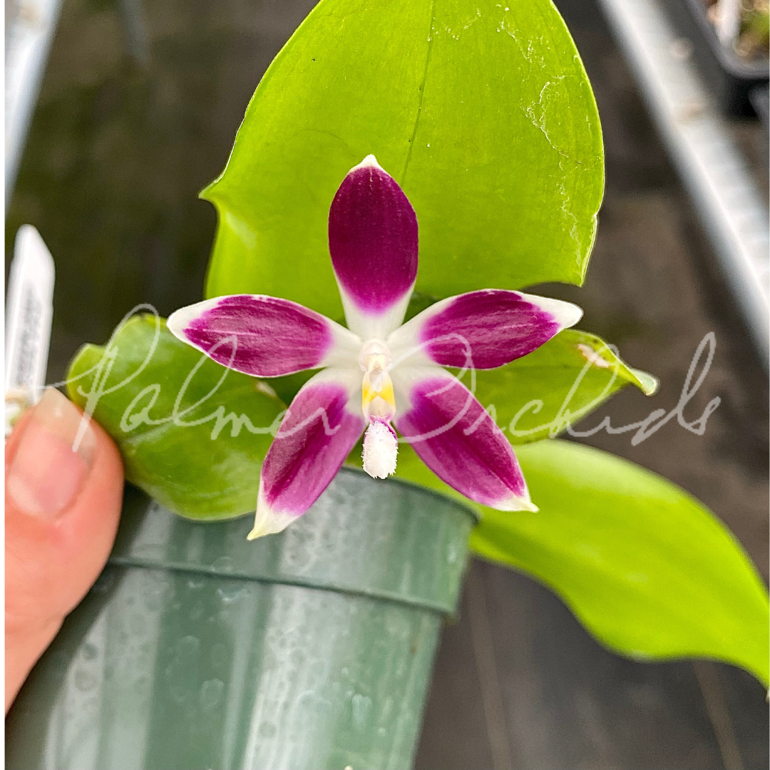 99D6BAC5-49C5-4B18-AF19-17D06D68B054