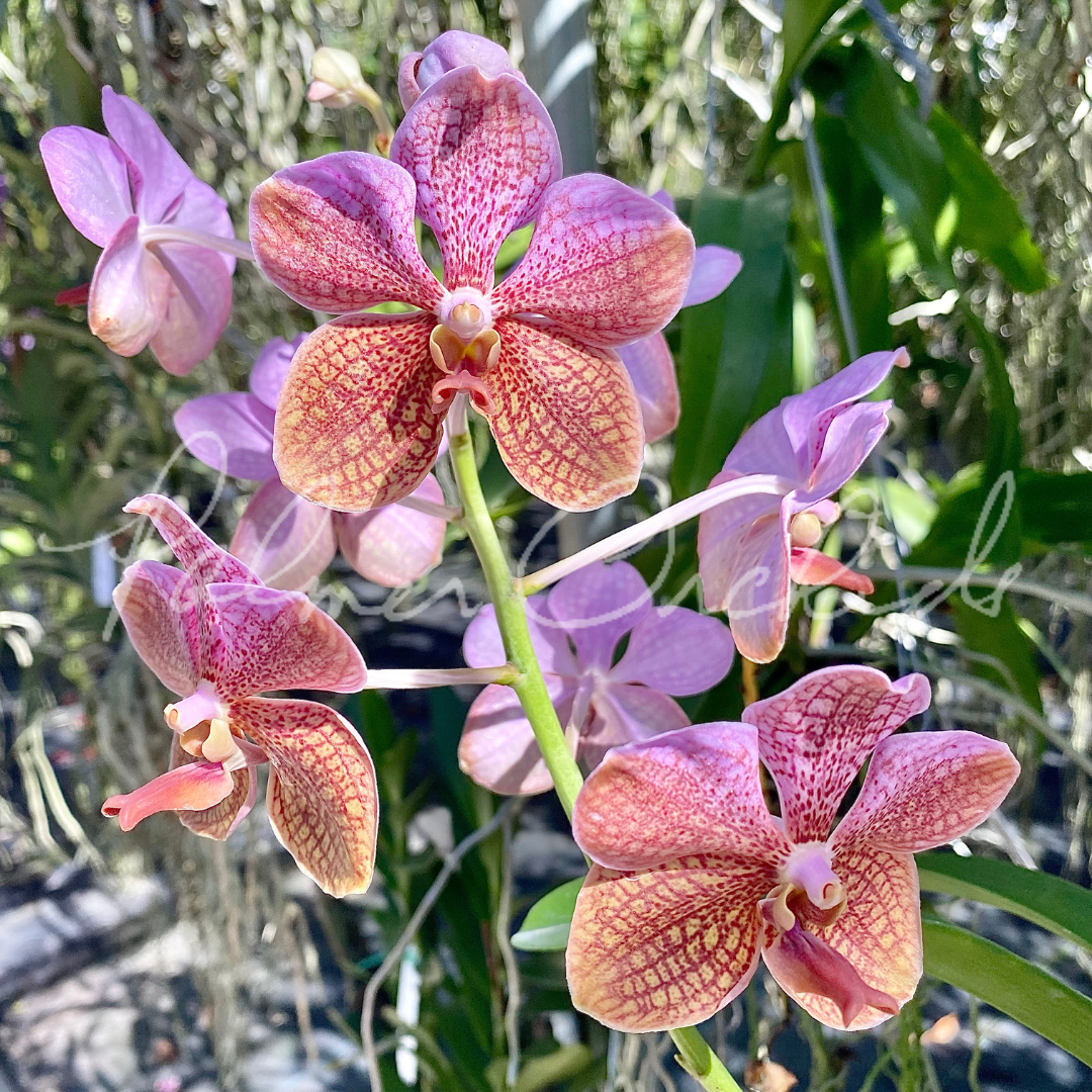 81096073-DD60-4E75-B5CE-84A0EC6FD0FD