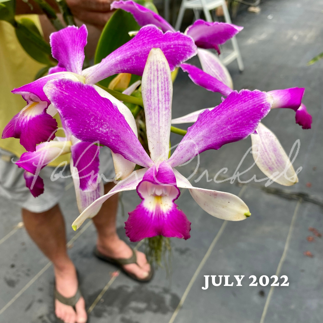 9F3E76B7-398E-4A2B-86C9-68D8800AA195