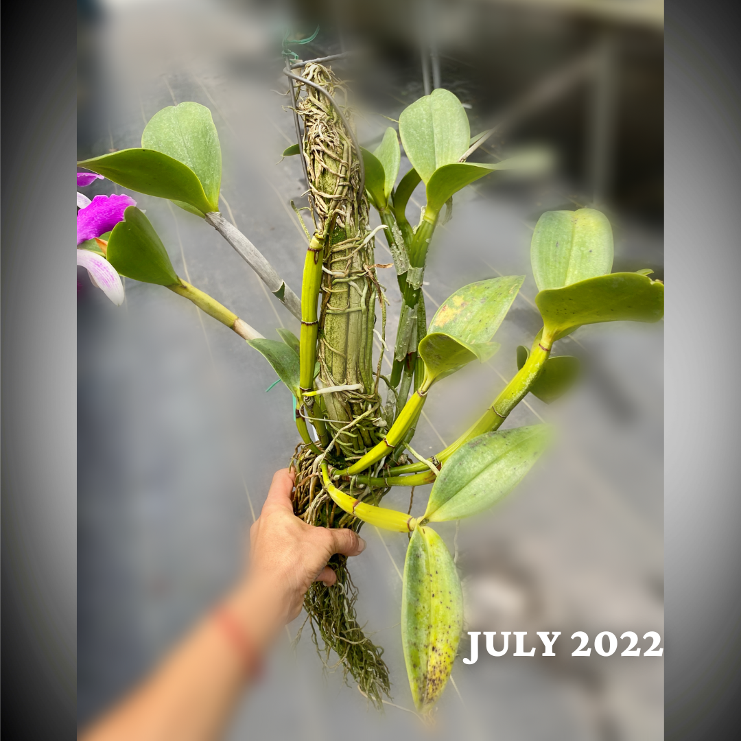 B1E5E31C-DC6E-4FA9-99B0-1286D82C5782