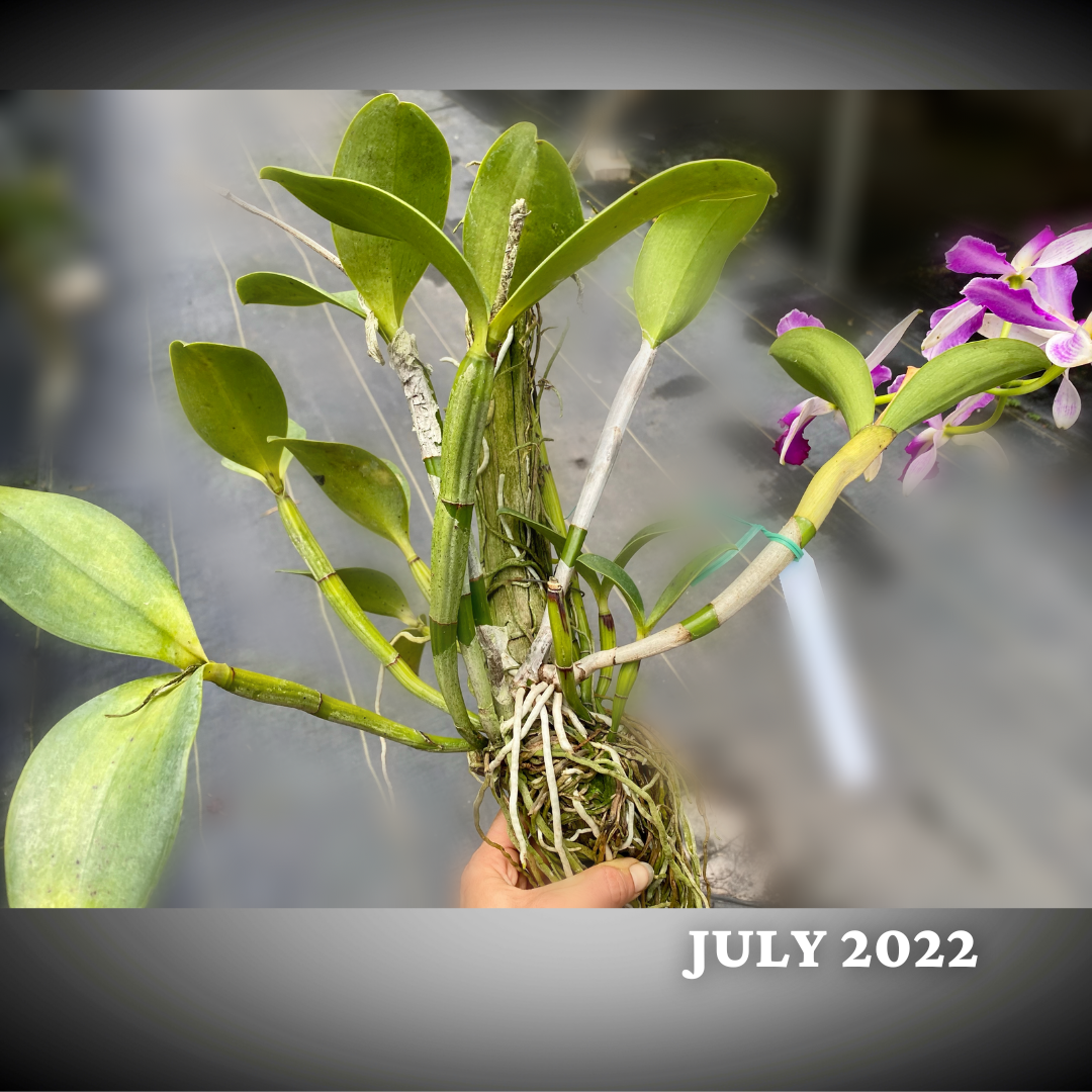 A7DE7BF1-A241-4CAF-B3AB-9F8EDA8700D3