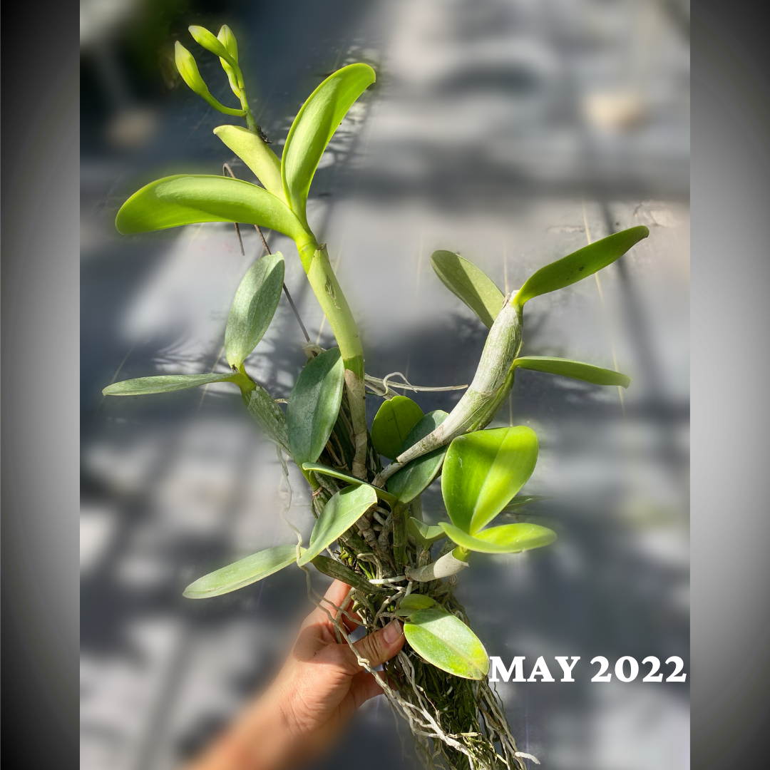 17C70853-56A8-4629-B33F-2EB4C2CF4FEE