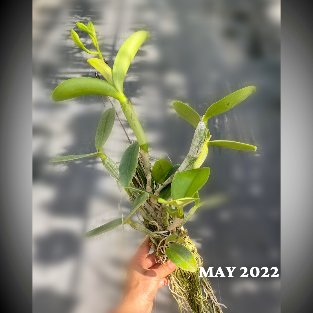 18A80720-1AC4-4B10-AECE-5E210A5F5CF9