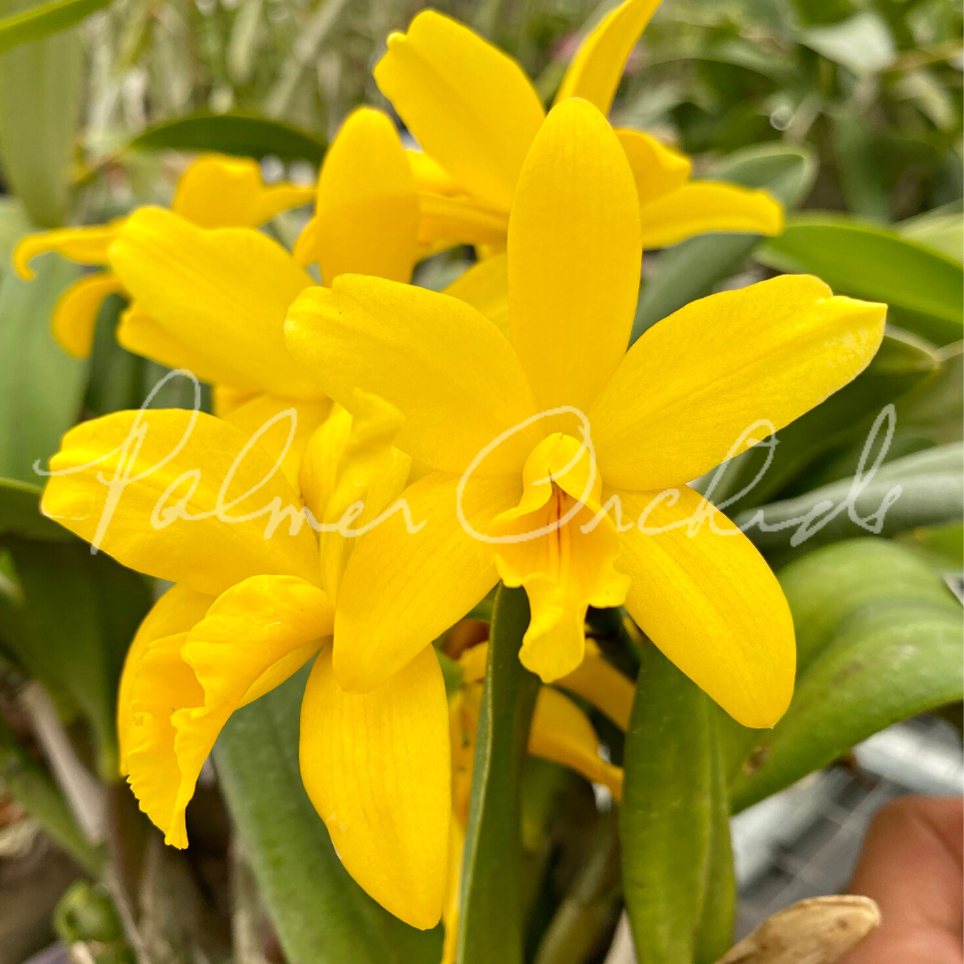 01437976-D0BE-4AB8-8CF5-FF33853D0441