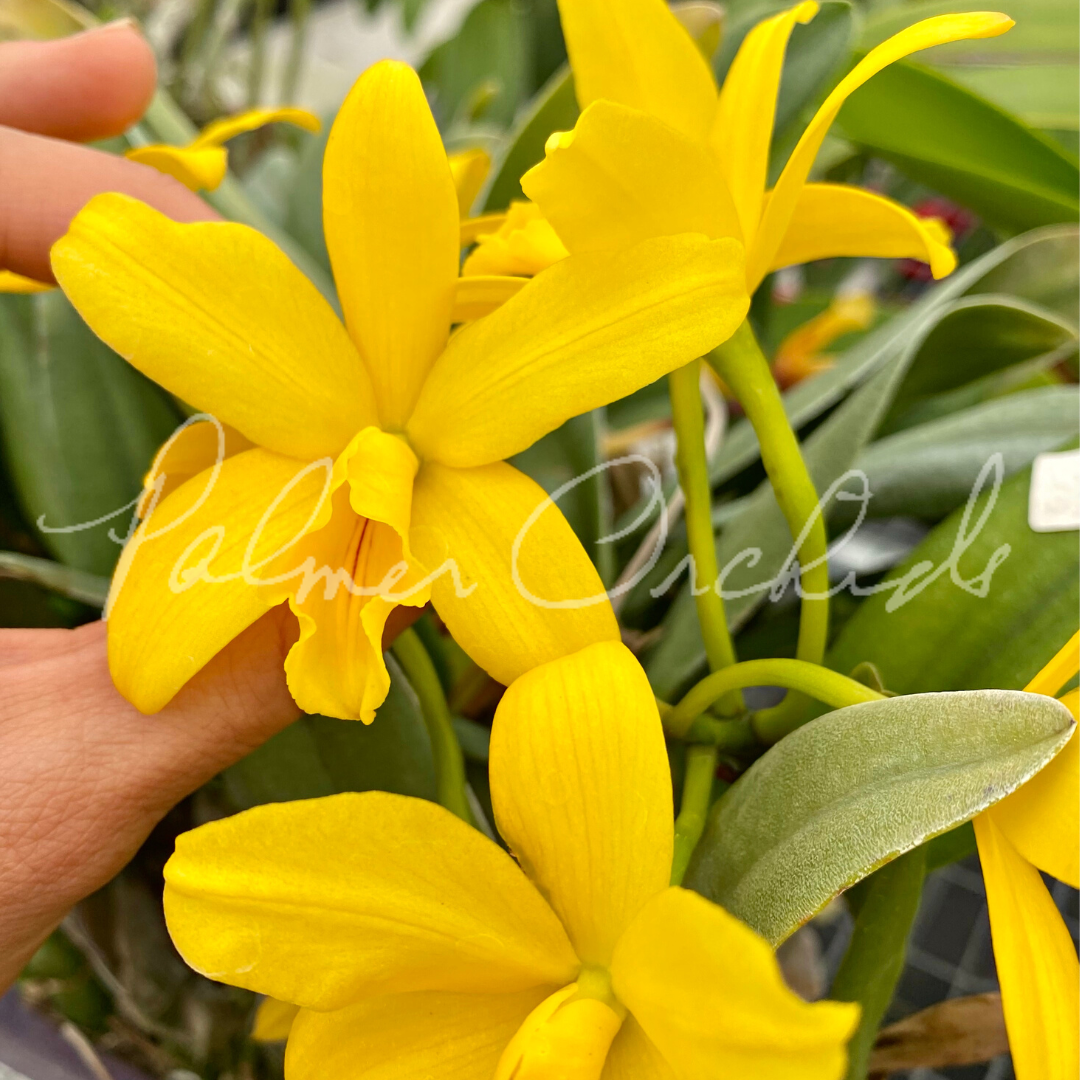 F982D115-1775-4C02-923C-CDAC6C8D360A