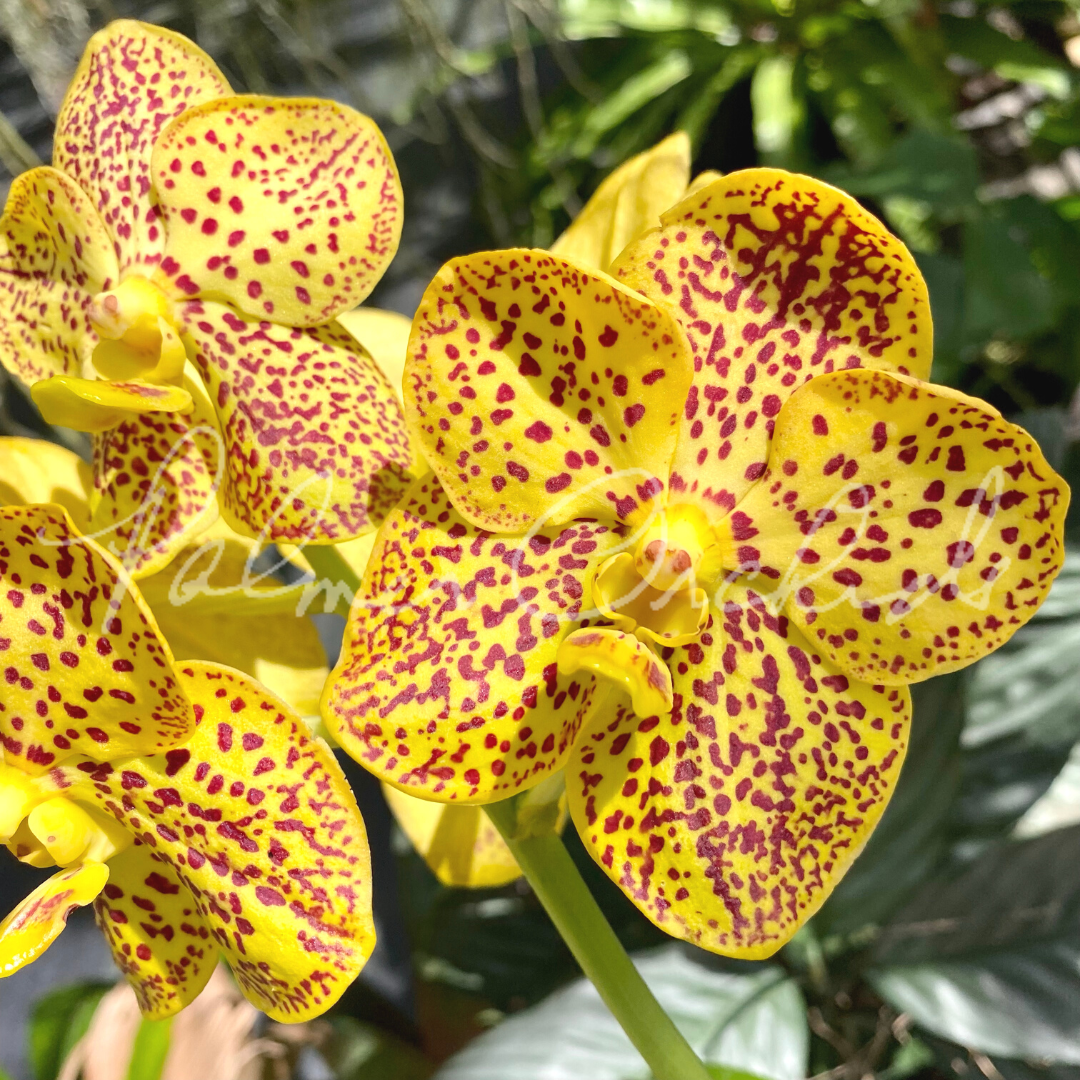 F1E1482A-7EBE-4845-8141-7DEA260AC634