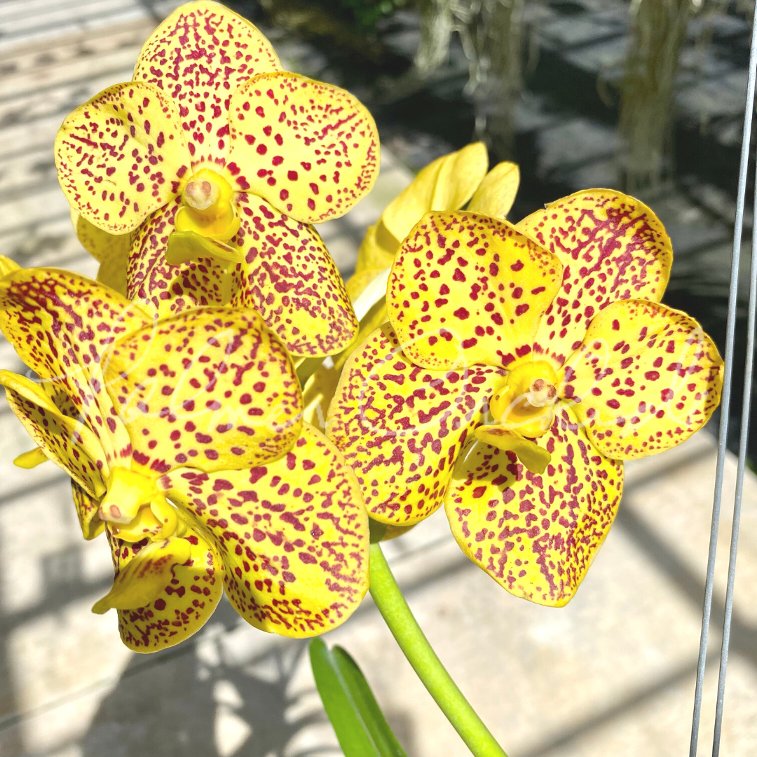 5A584077-165E-4A0A-B150-A0CE27D2278F