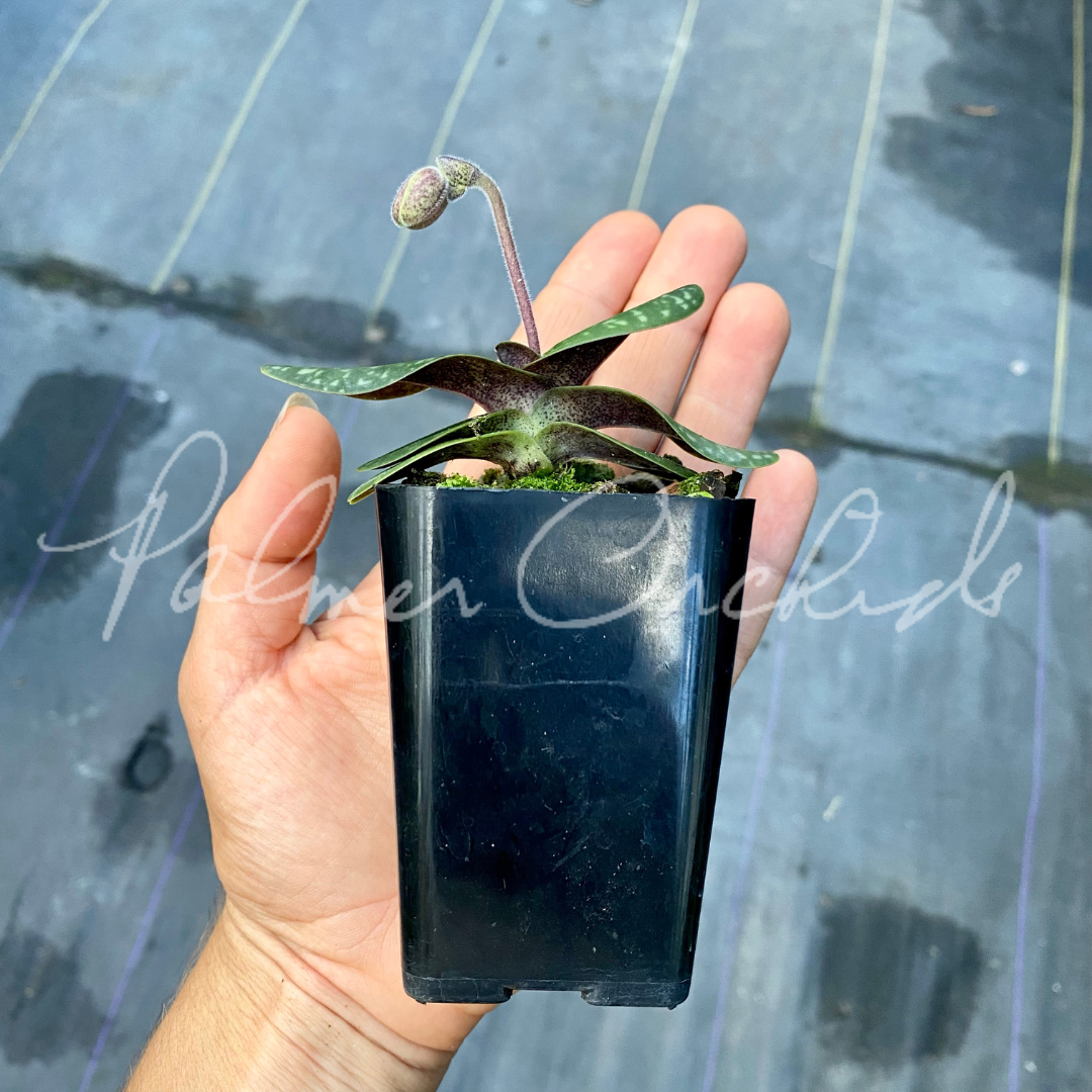 3C5880A1-83D6-4098-8AF6-4BAF5D09E82A