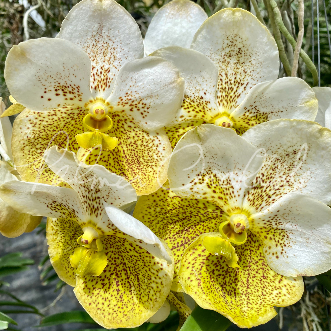 14302561-0177-4247-8639-01A5D3633906