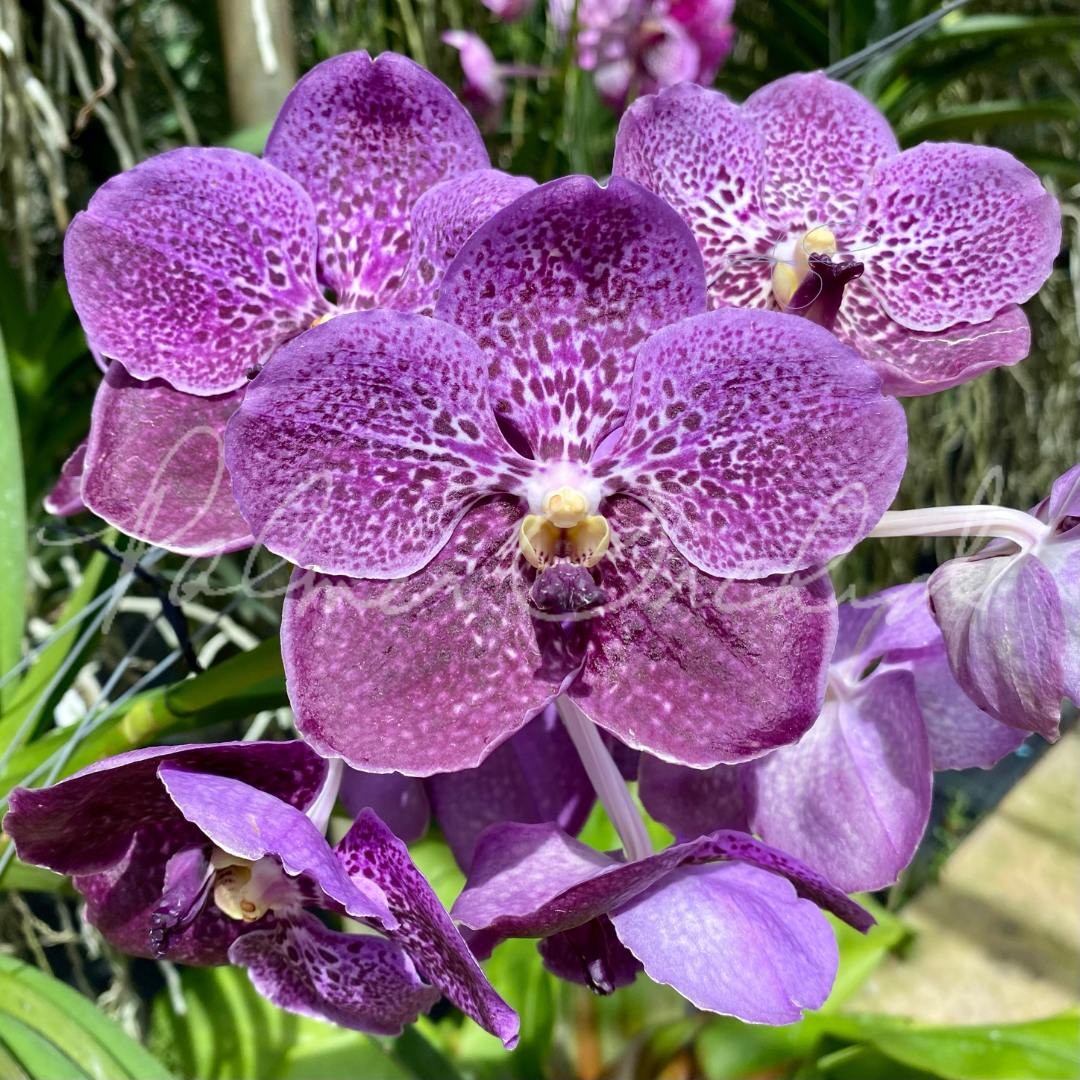 F8B24F45-1331-46E6-956B-437EB88A4BC8