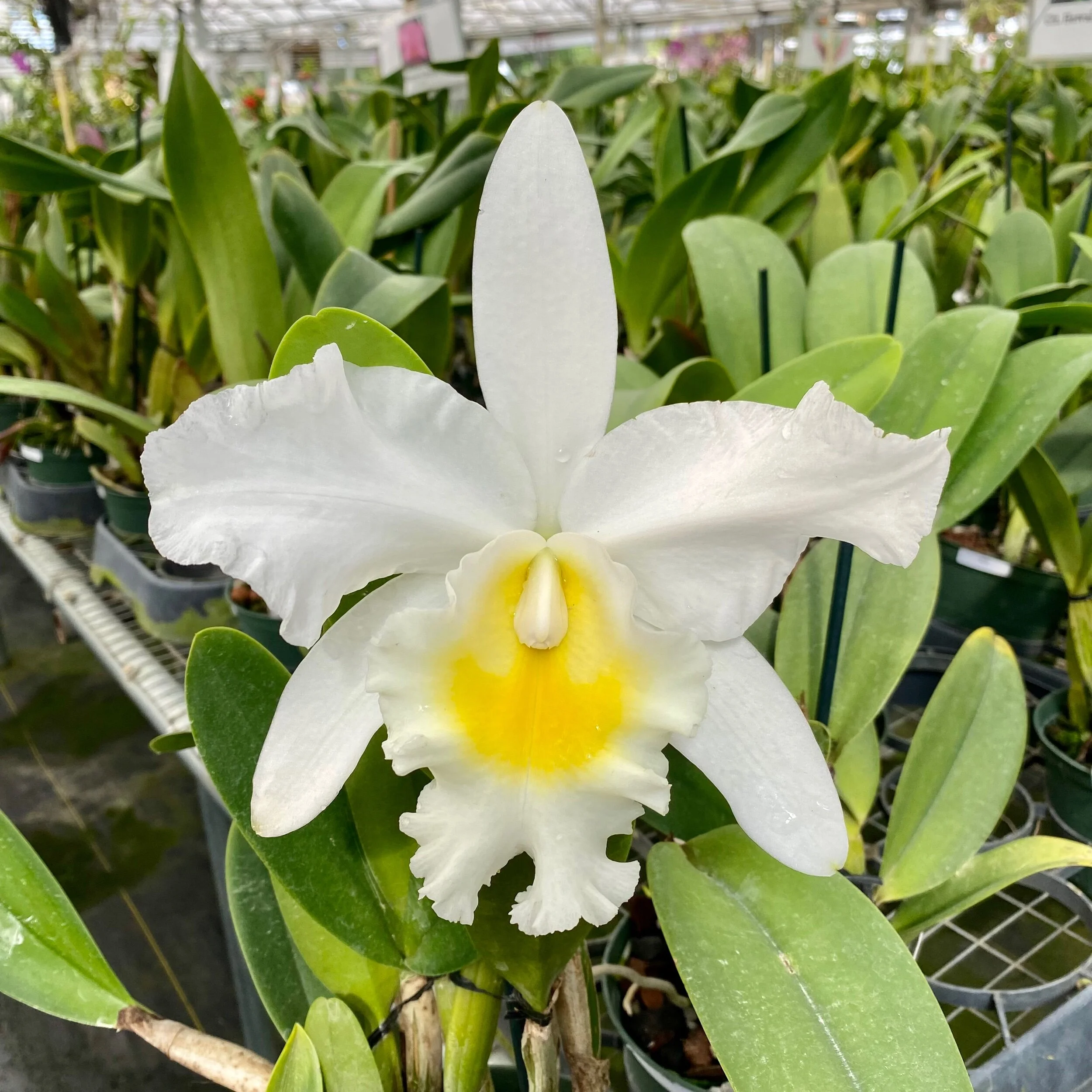 7E164227-D605-4426-AB84-1E07636A6494