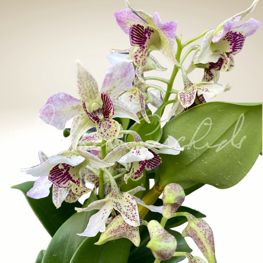 049A064C-6C99-4BC6-938E-76C4E99880FC