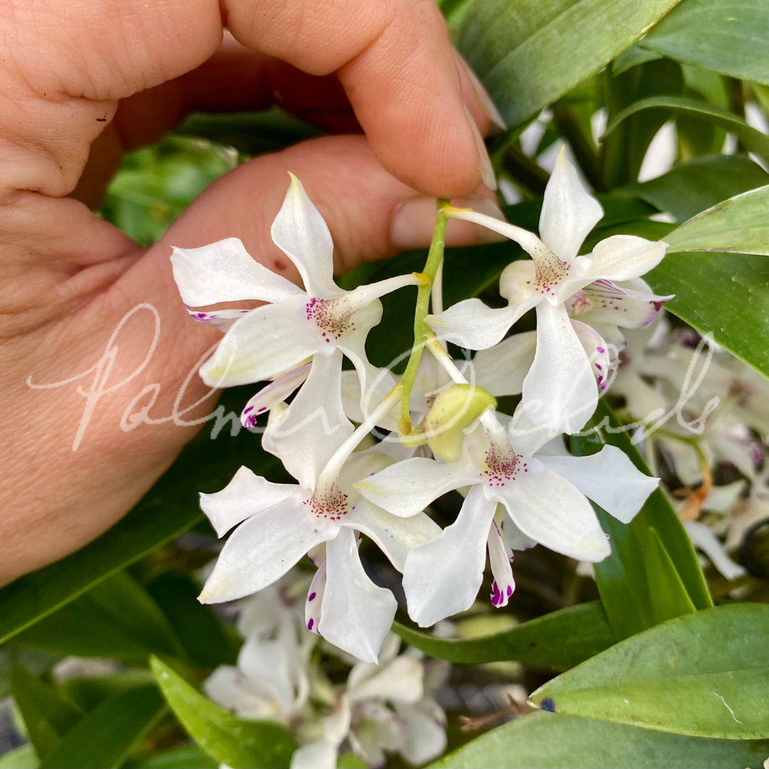 3BE1D17E-4A8A-4FE3-9AA2-3CC5A508DCC2