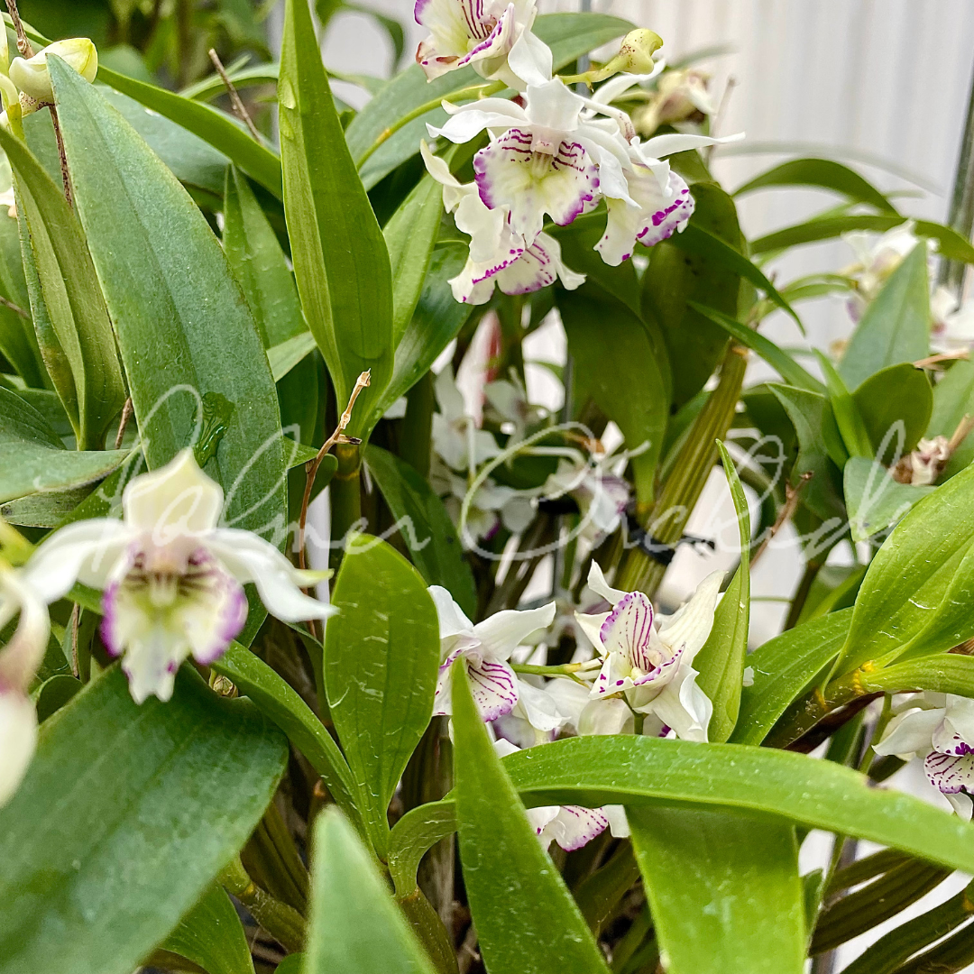 25B25906-D920-4A82-8206-4969EB374F07