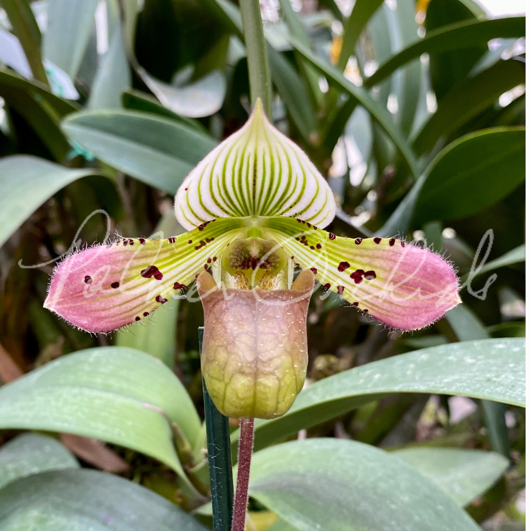 662458D5-0AC0-44F5-B507-72F2773DFDF9