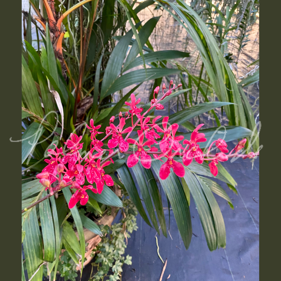 3116A3D3-D74D-44DA-BA8D-9FC91B0C00A7