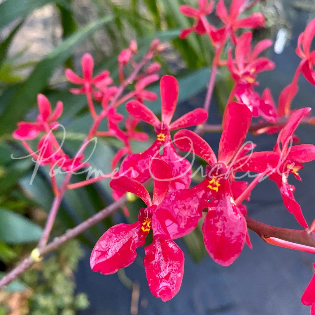 9BDFA369-1BE9-408A-8048-B811347D64F3