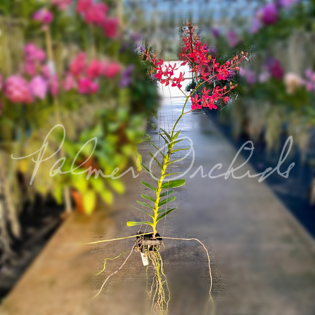 56D0846B-94F7-4038-96FD-03AE71E8BD94