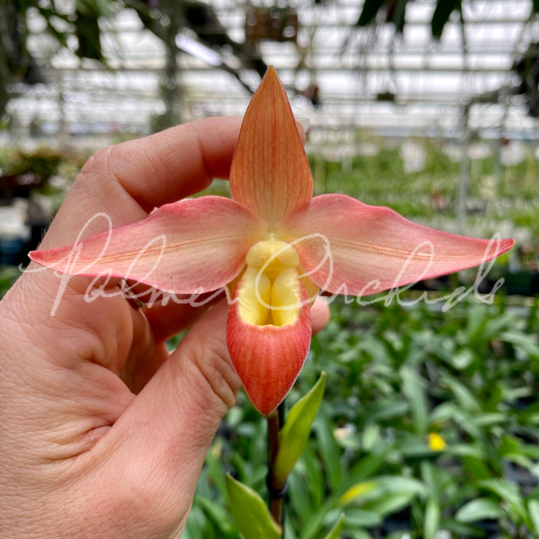 14D7B67B-BD05-479D-9A54-354210BCD1A7