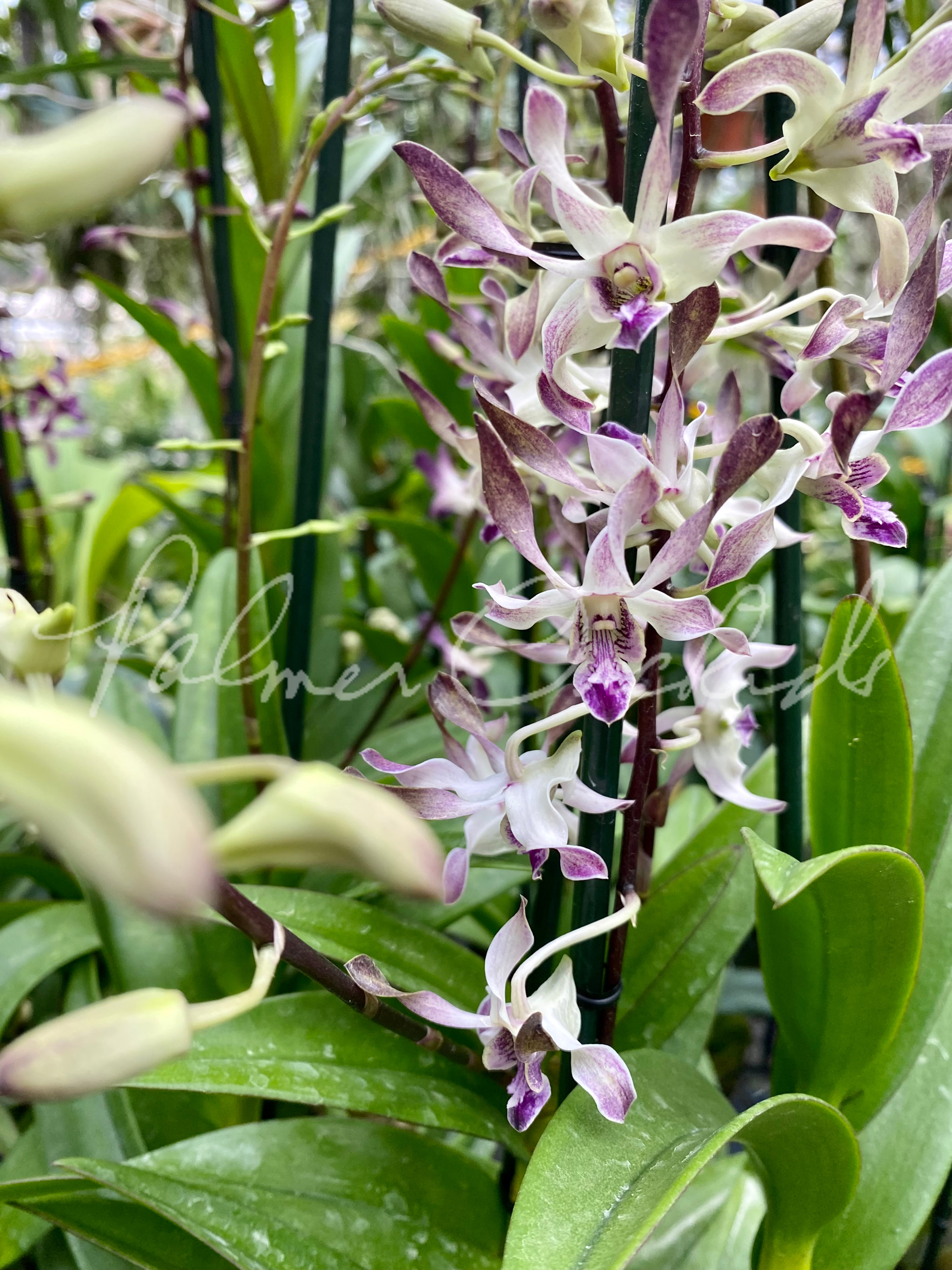 812DB07B-38A6-488F-8AB3-CF3CA497E28C