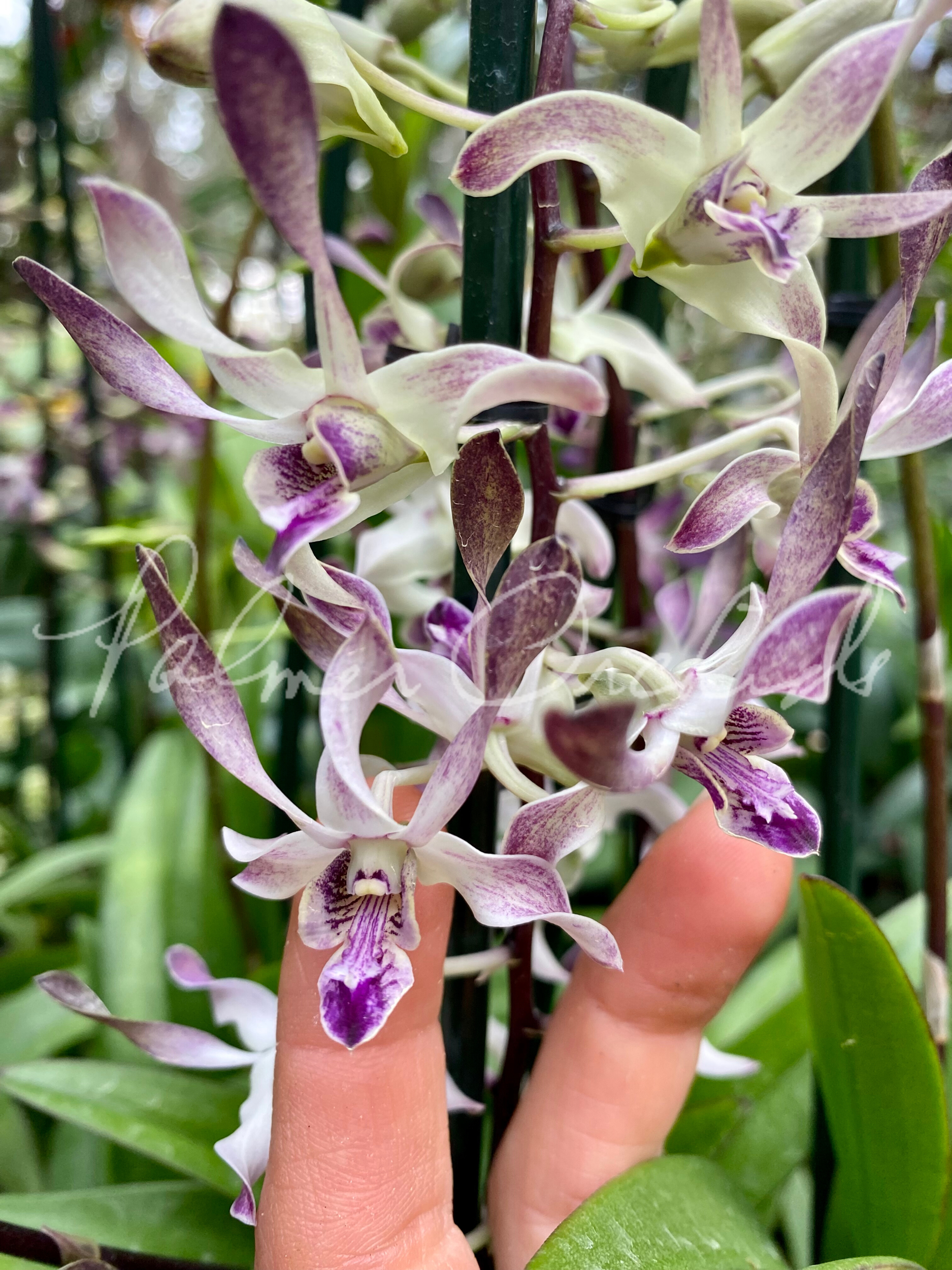 4192D7F5-4B9F-4B6B-BF95-0507CD1F1AFF