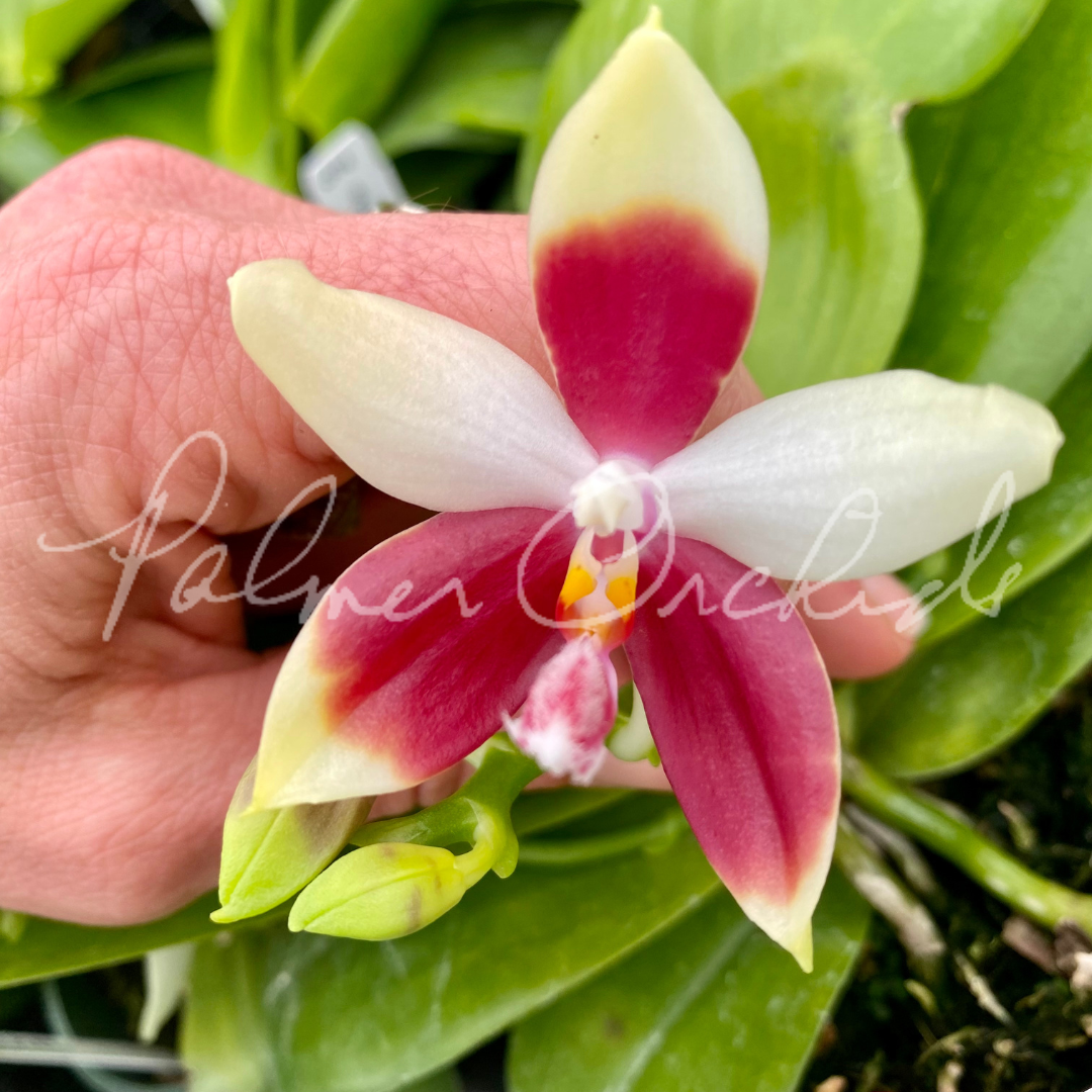 BFD402D5-D296-4C19-97C1-0CCF8E1AF232