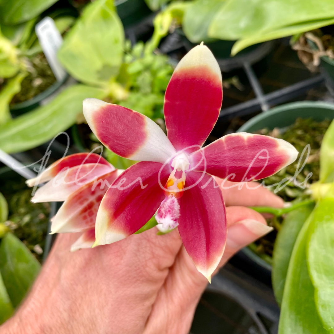 13BB03E0-9D0B-435B-B771-E4AF88EABBED