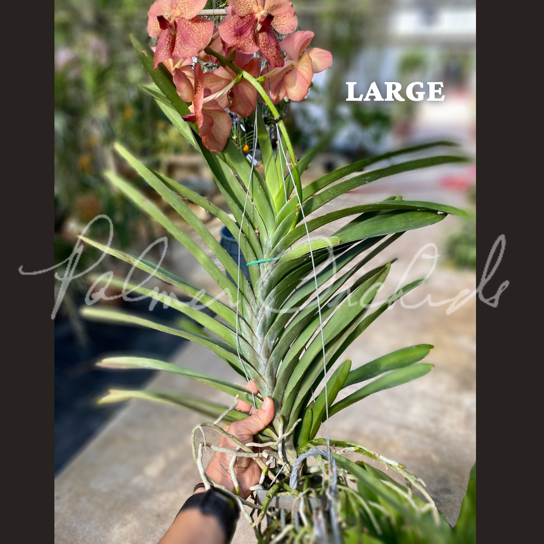 CBA5E199-8AD7-4429-85F6-0F8F29D49874