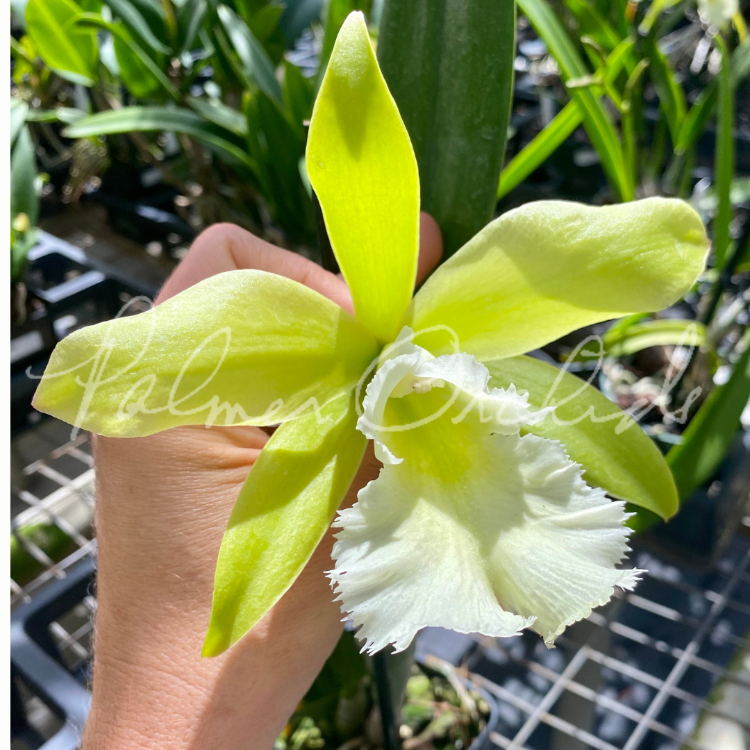 BC548222-44B2-4FB8-A4F6-A62BDDFA1DA0